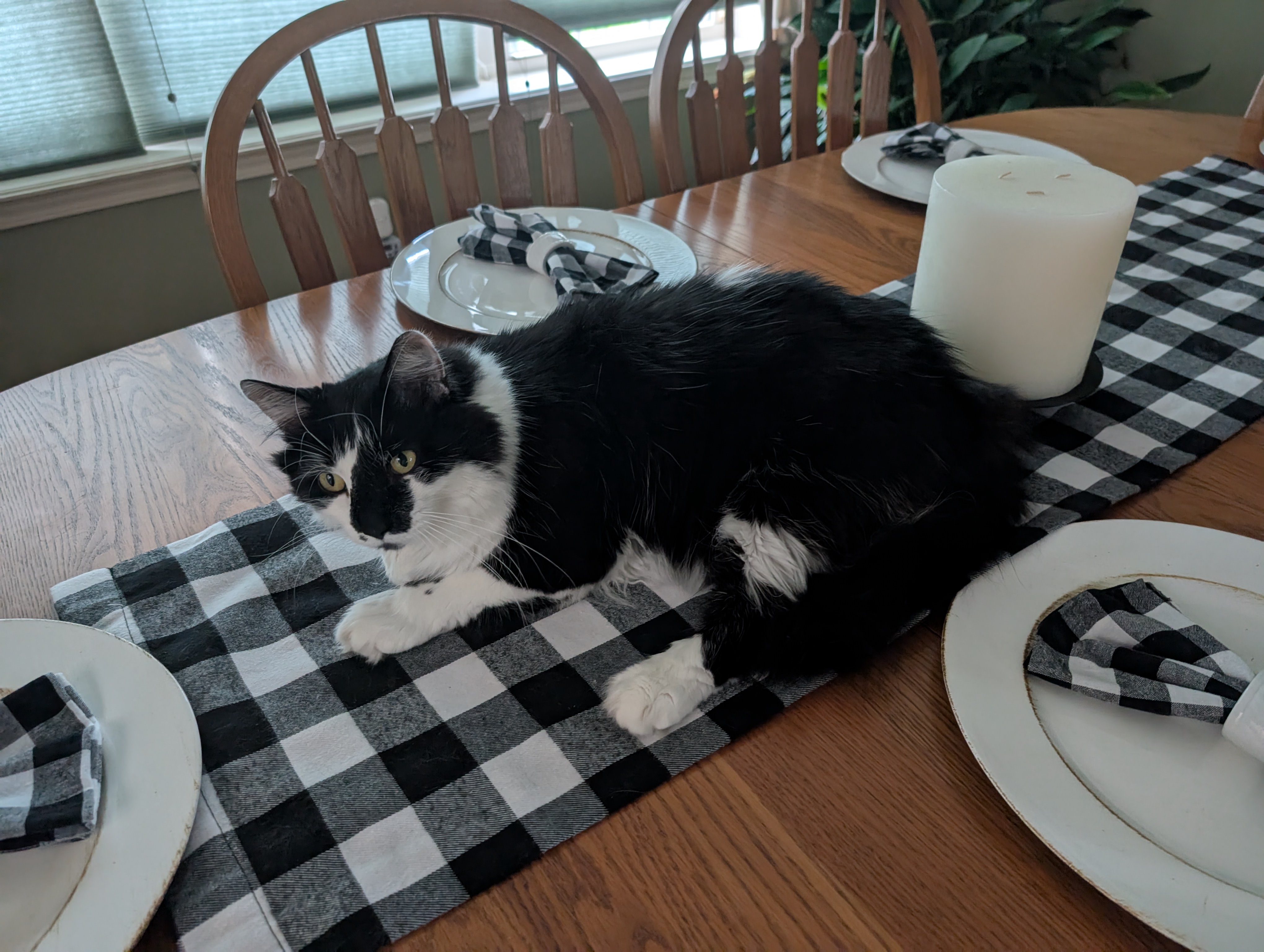 PXL 20250726 001411713