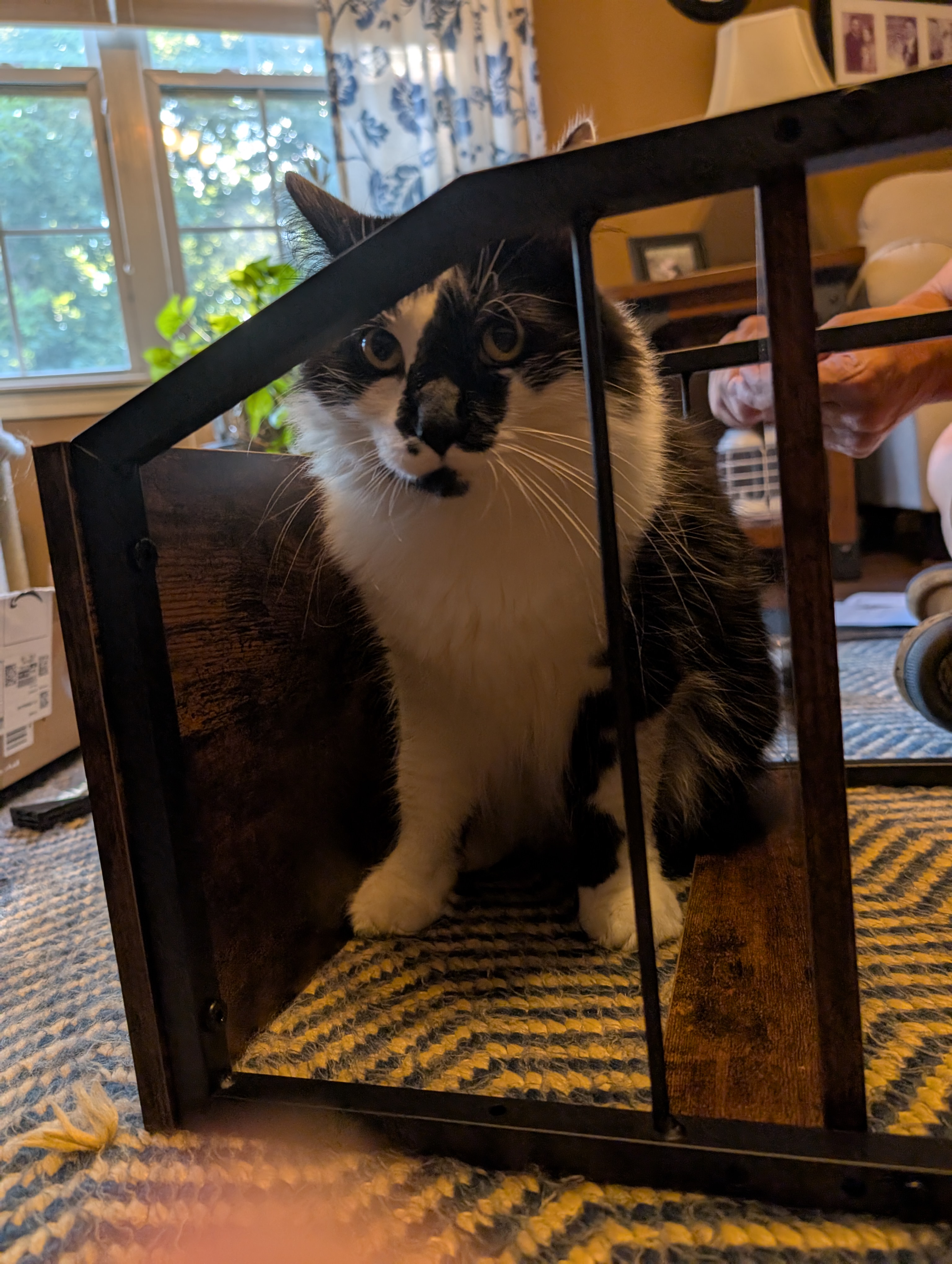 PXL 20250811 223608317