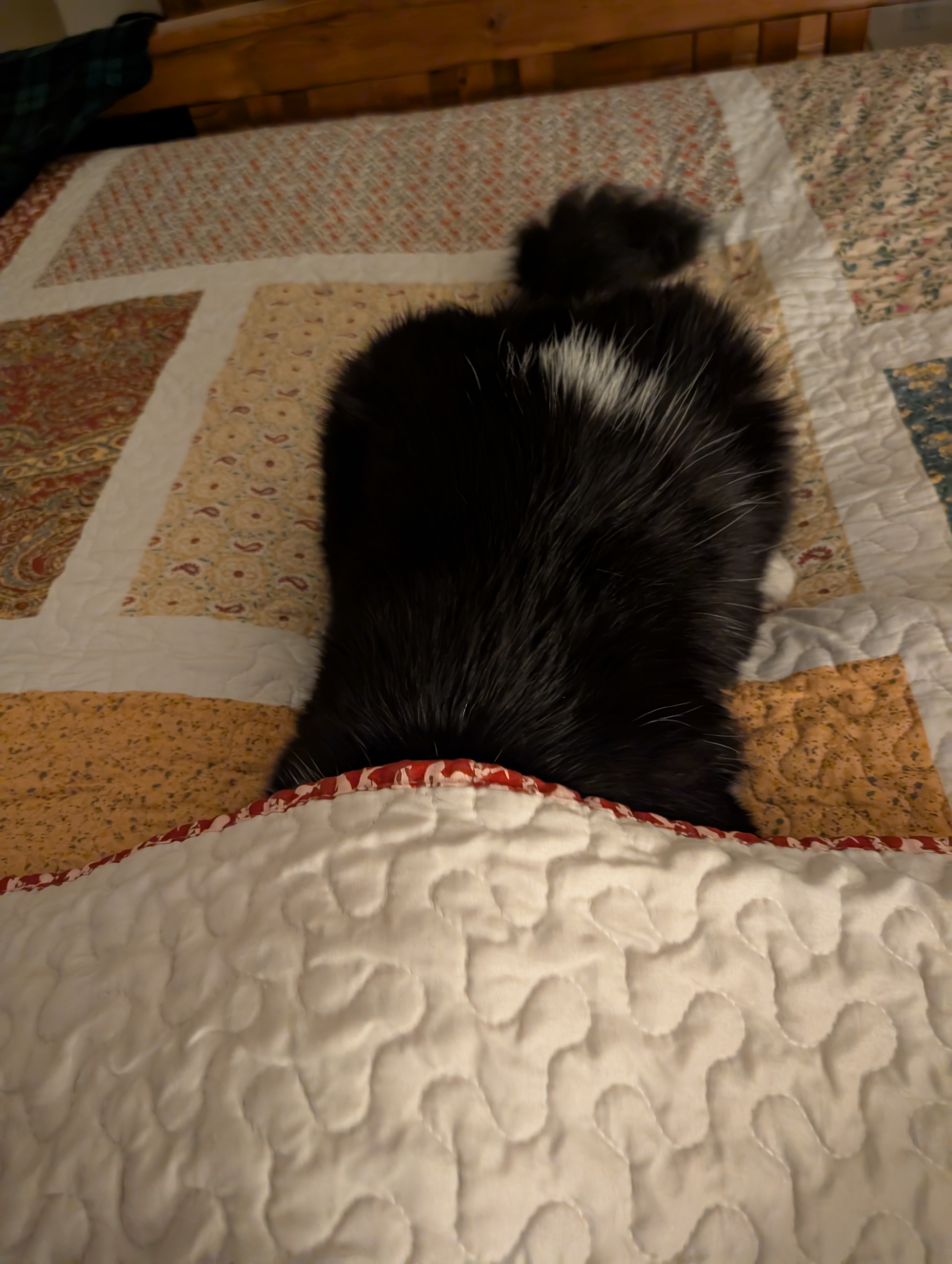 PXL 20250903 023511638