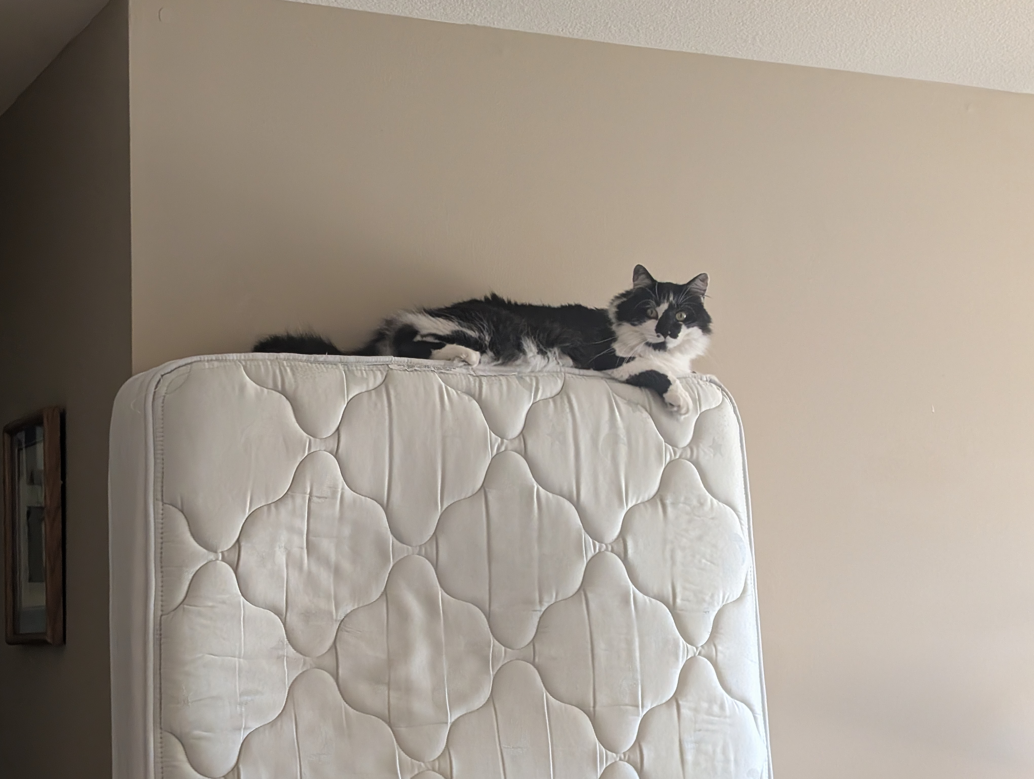 PXL 20250928 171708792