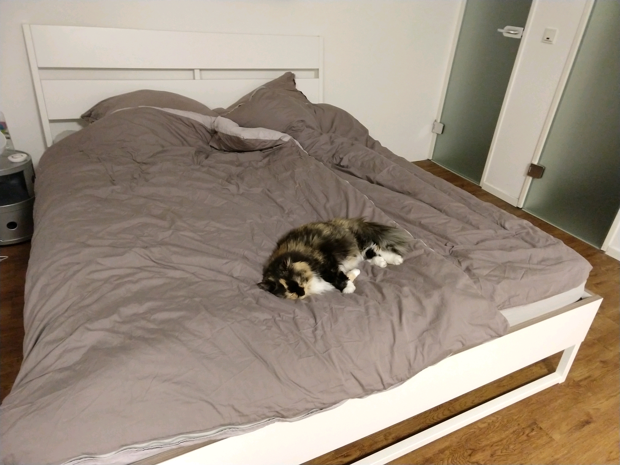 GroupMe 20181126 122532