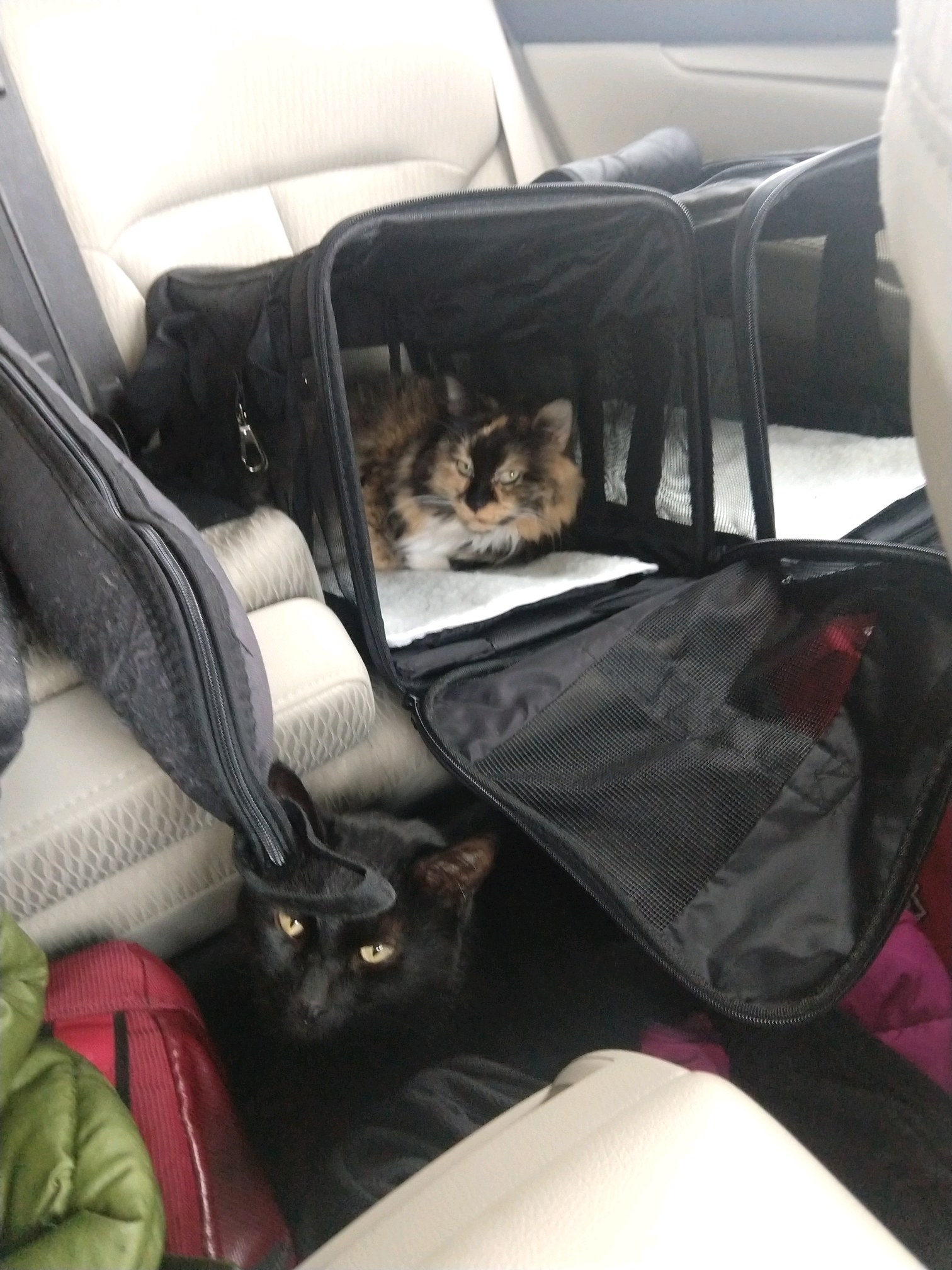 GroupMe 20181126 122610