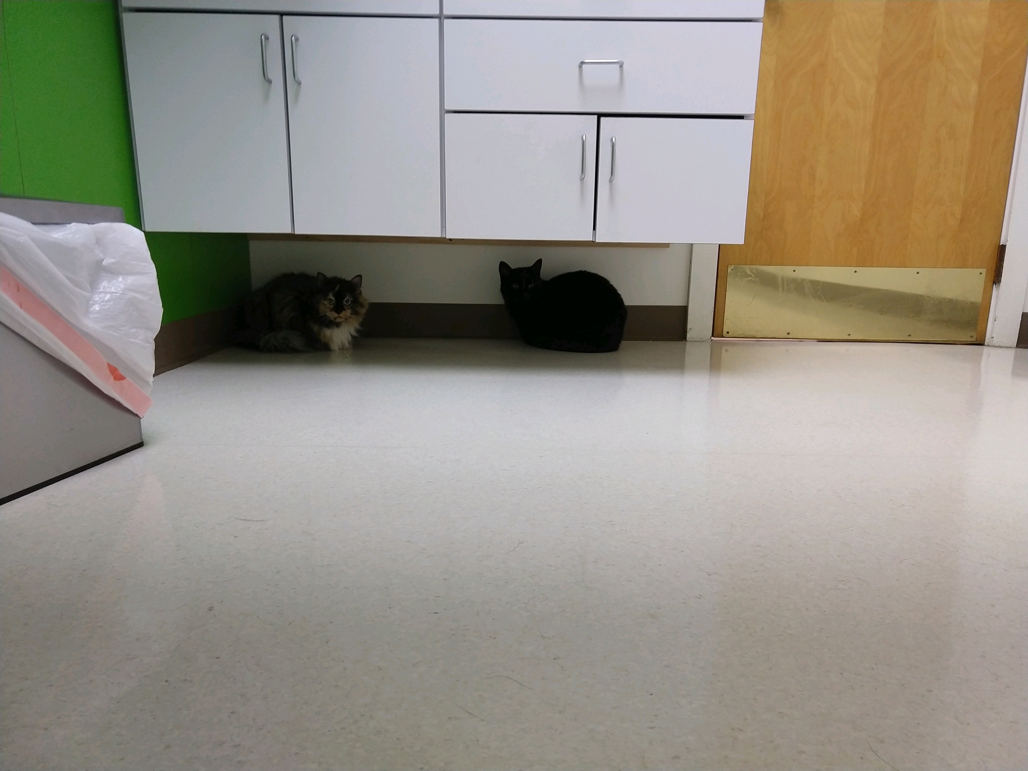 GroupMe 20181126 122617