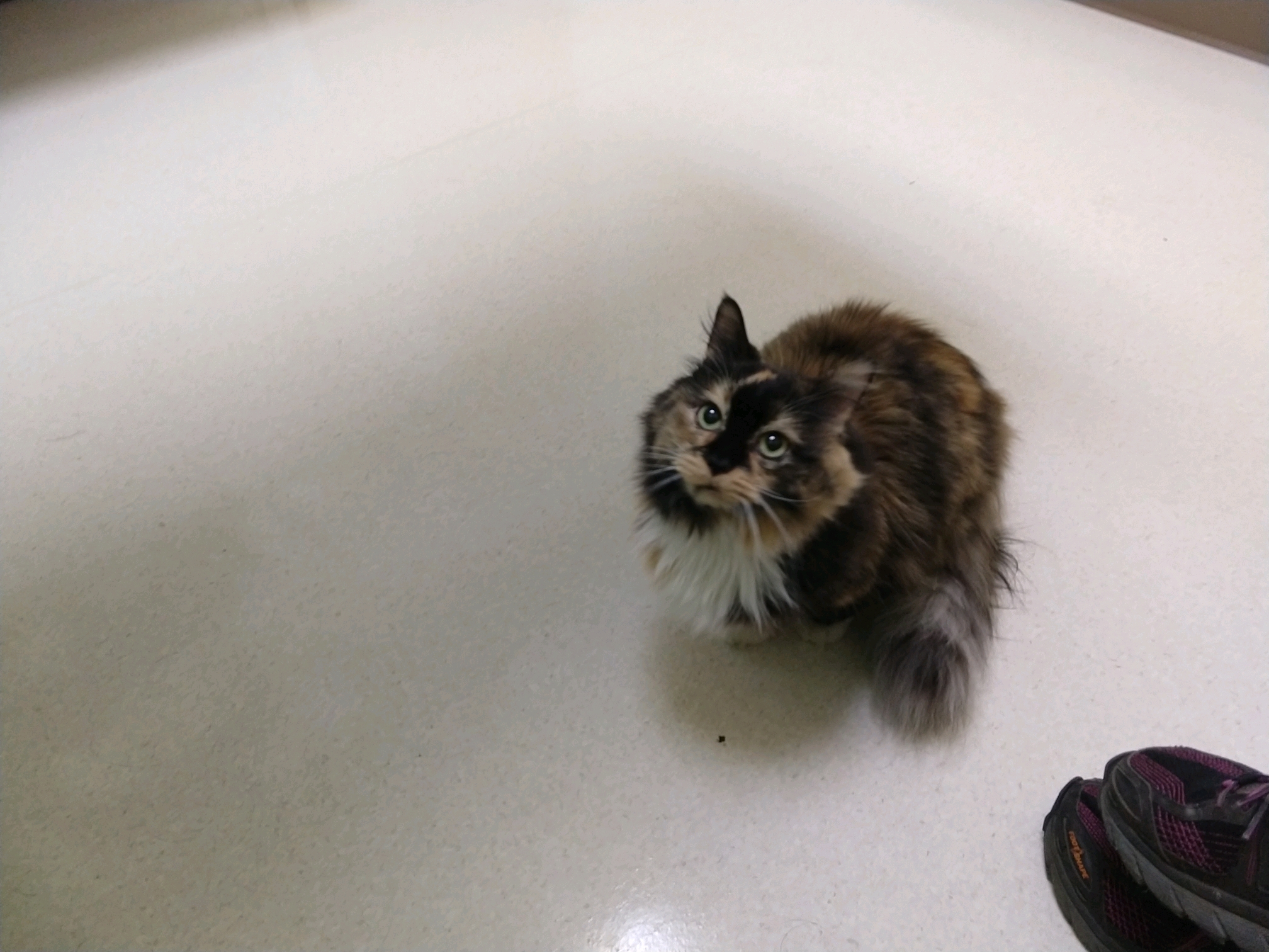 GroupMe 20181126 122622