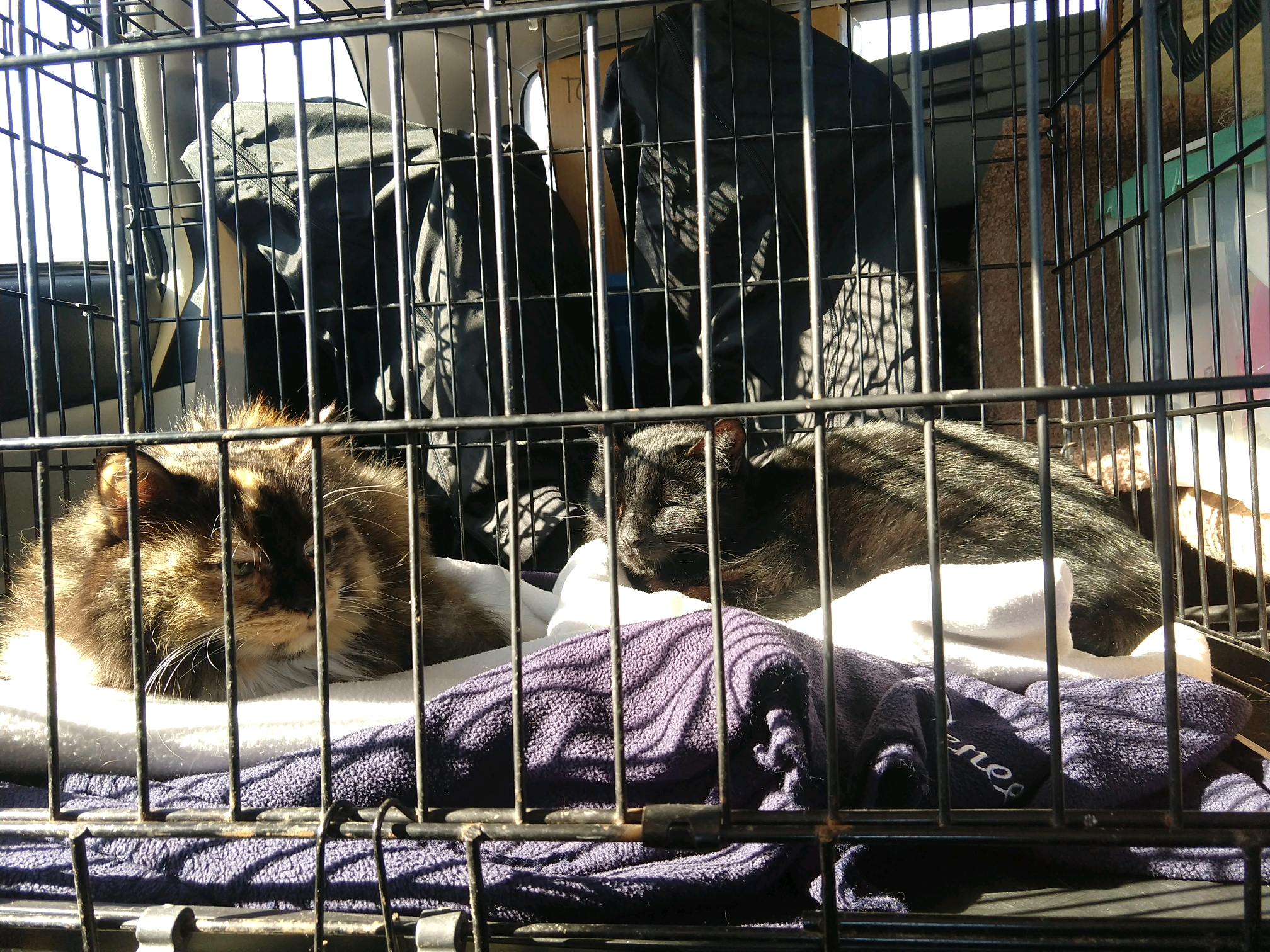 GroupMe 20181126 122659