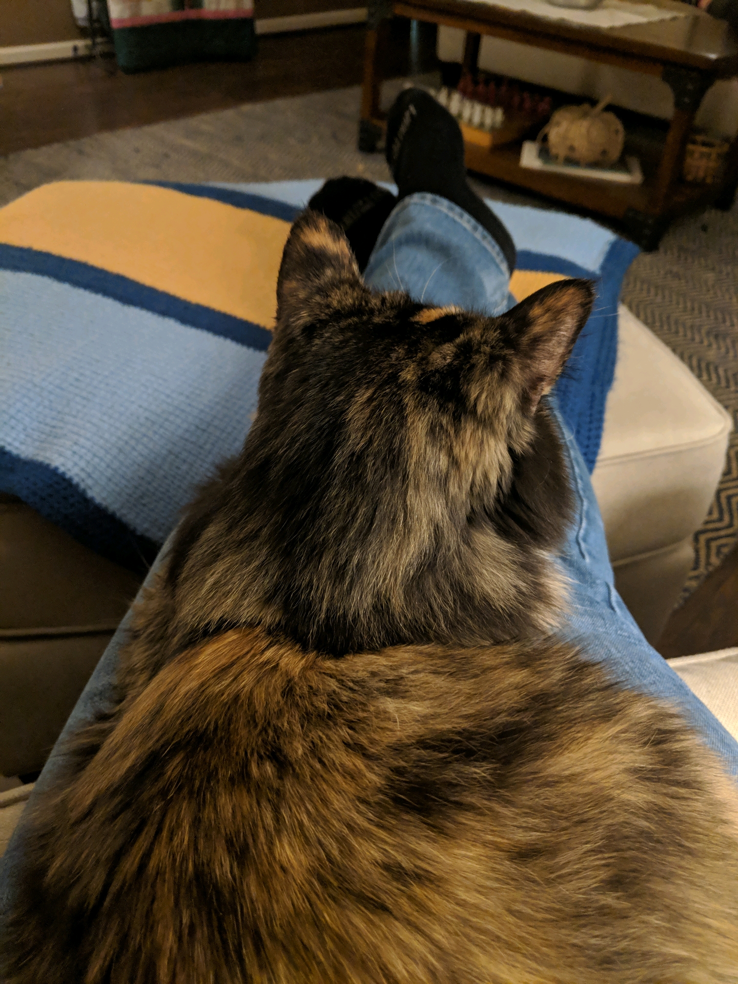 GroupMe 20181126 122713