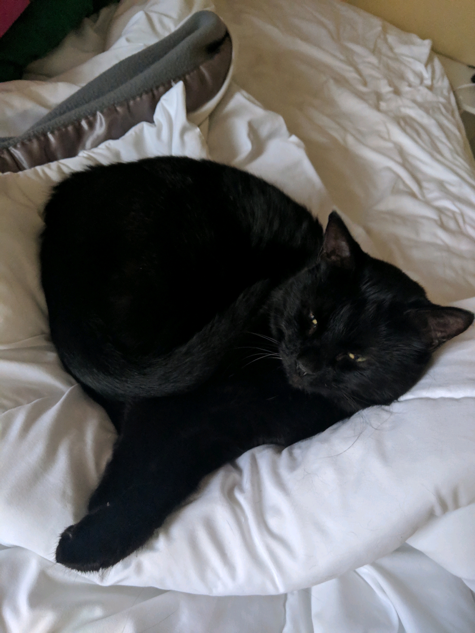 GroupMe 20181126 122738