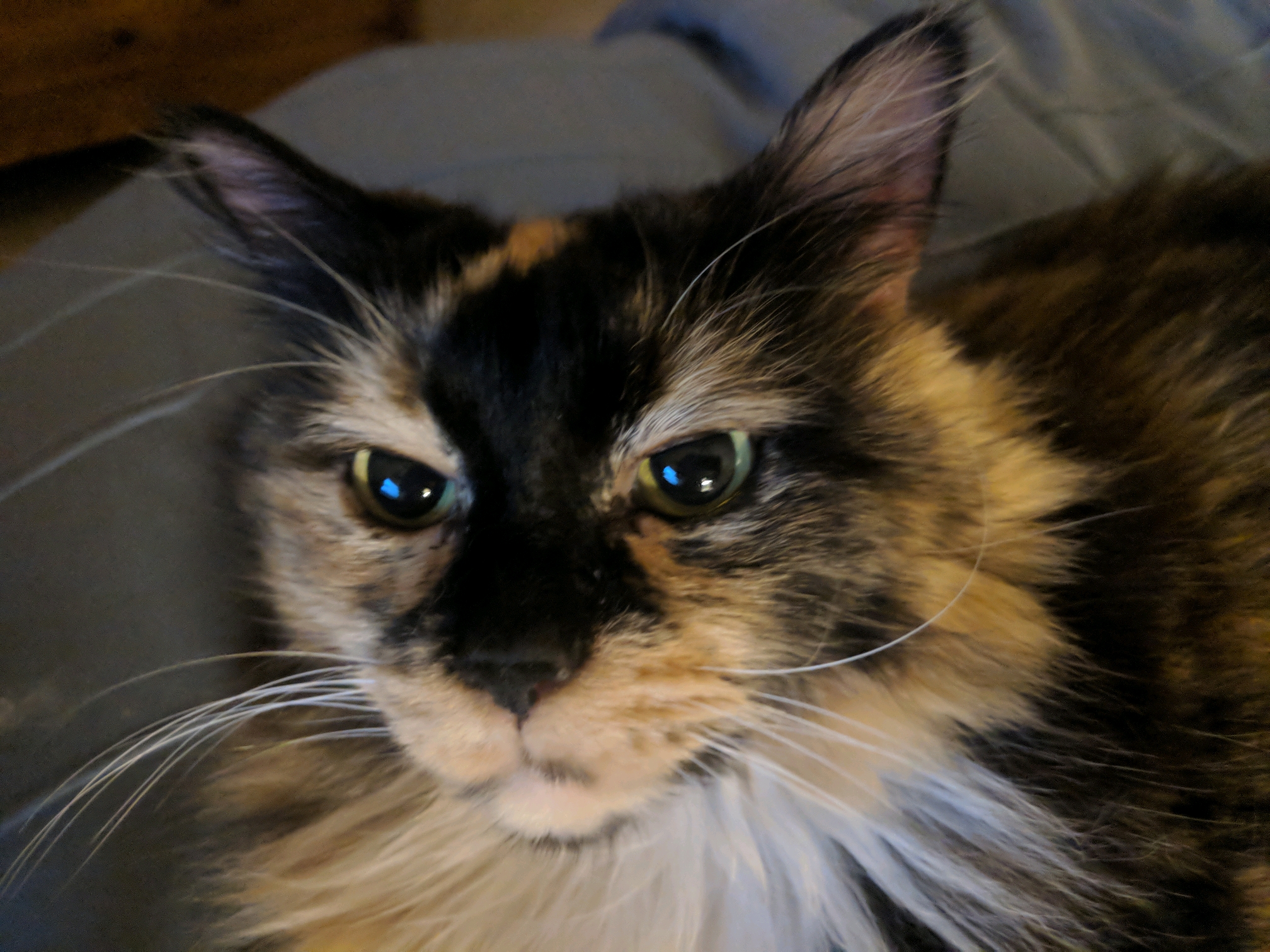 GroupMe 20181126 122758