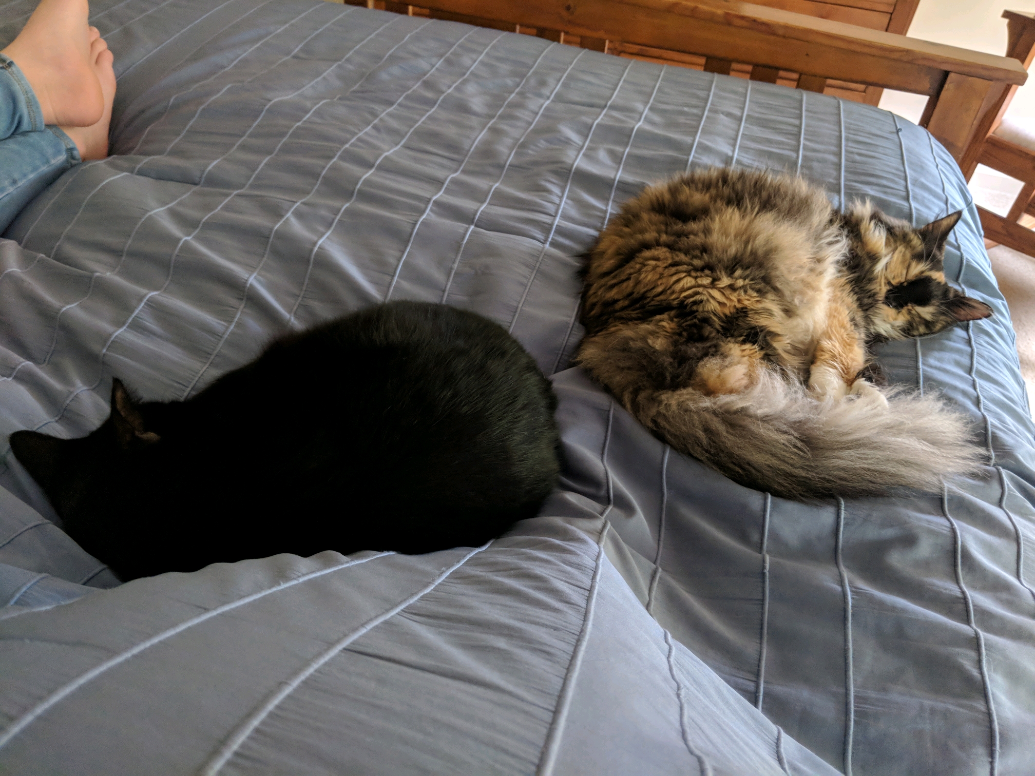 GroupMe 20181126 122845