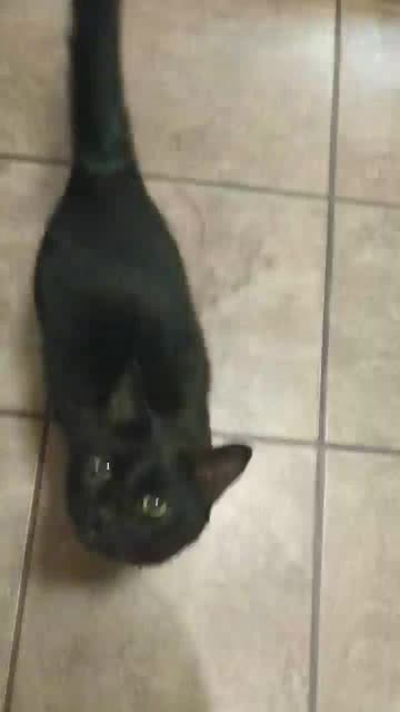 GroupMe 20181126 122855