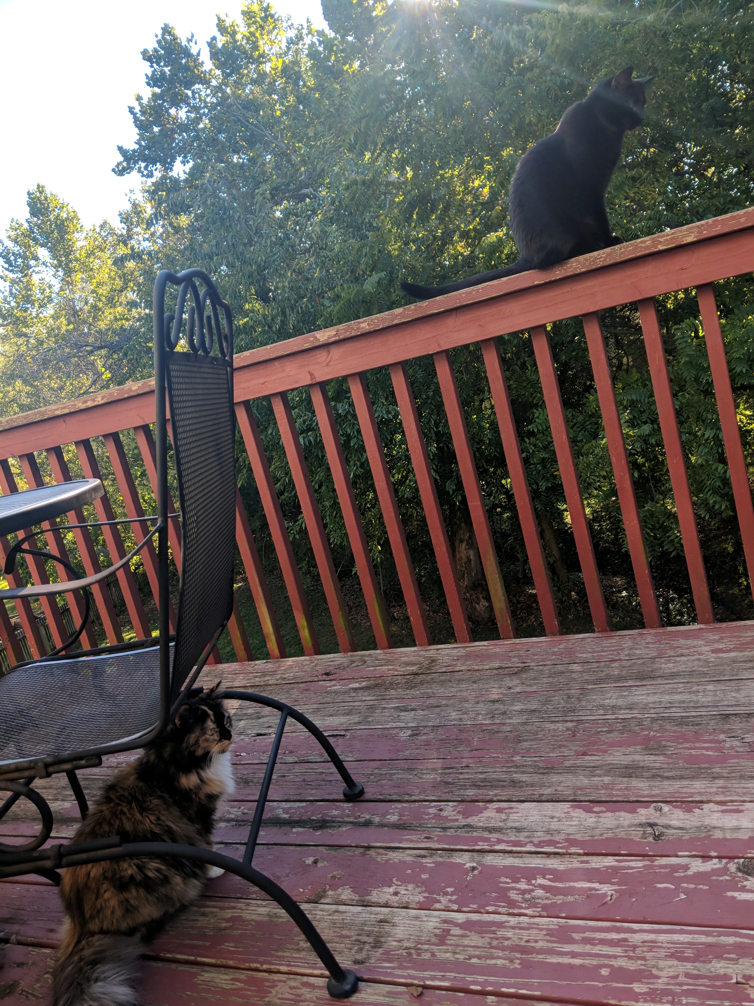 GroupMe 20181126 12286