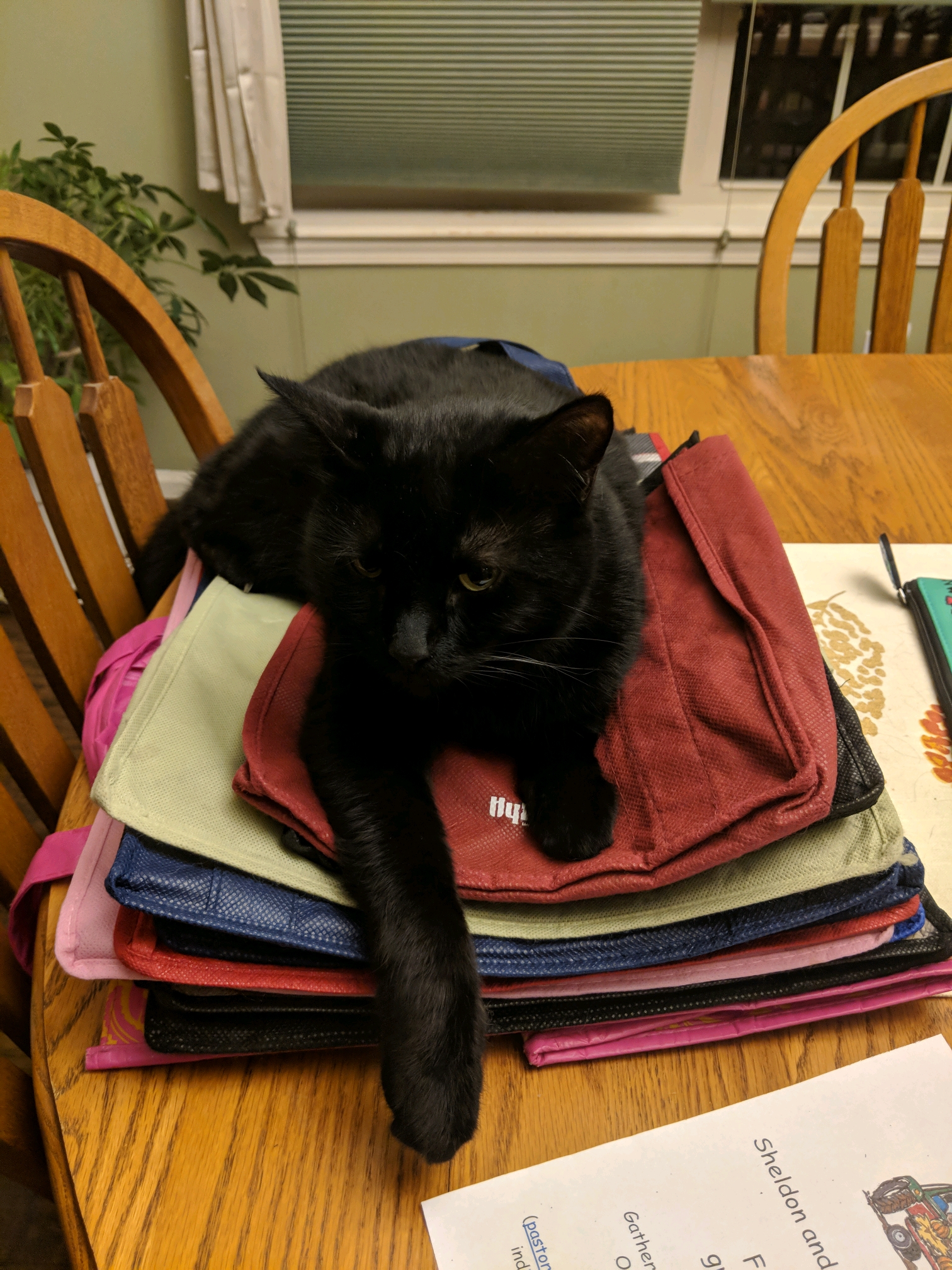 GroupMe 20181126 122911