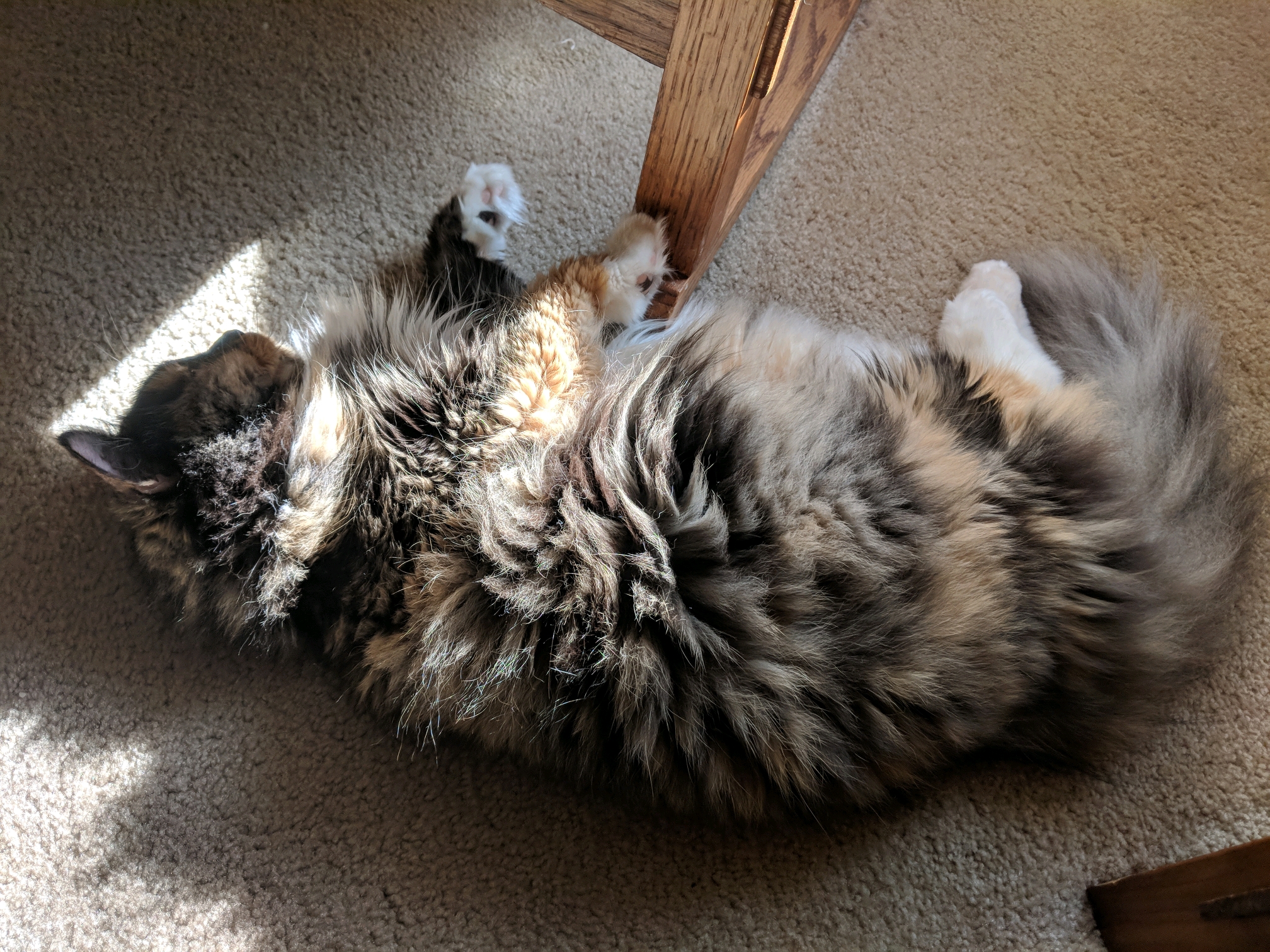 GroupMe 20181126 122917