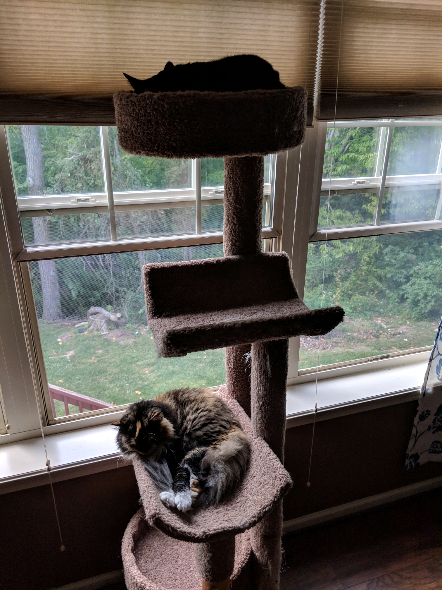 GroupMe 20181126 122927