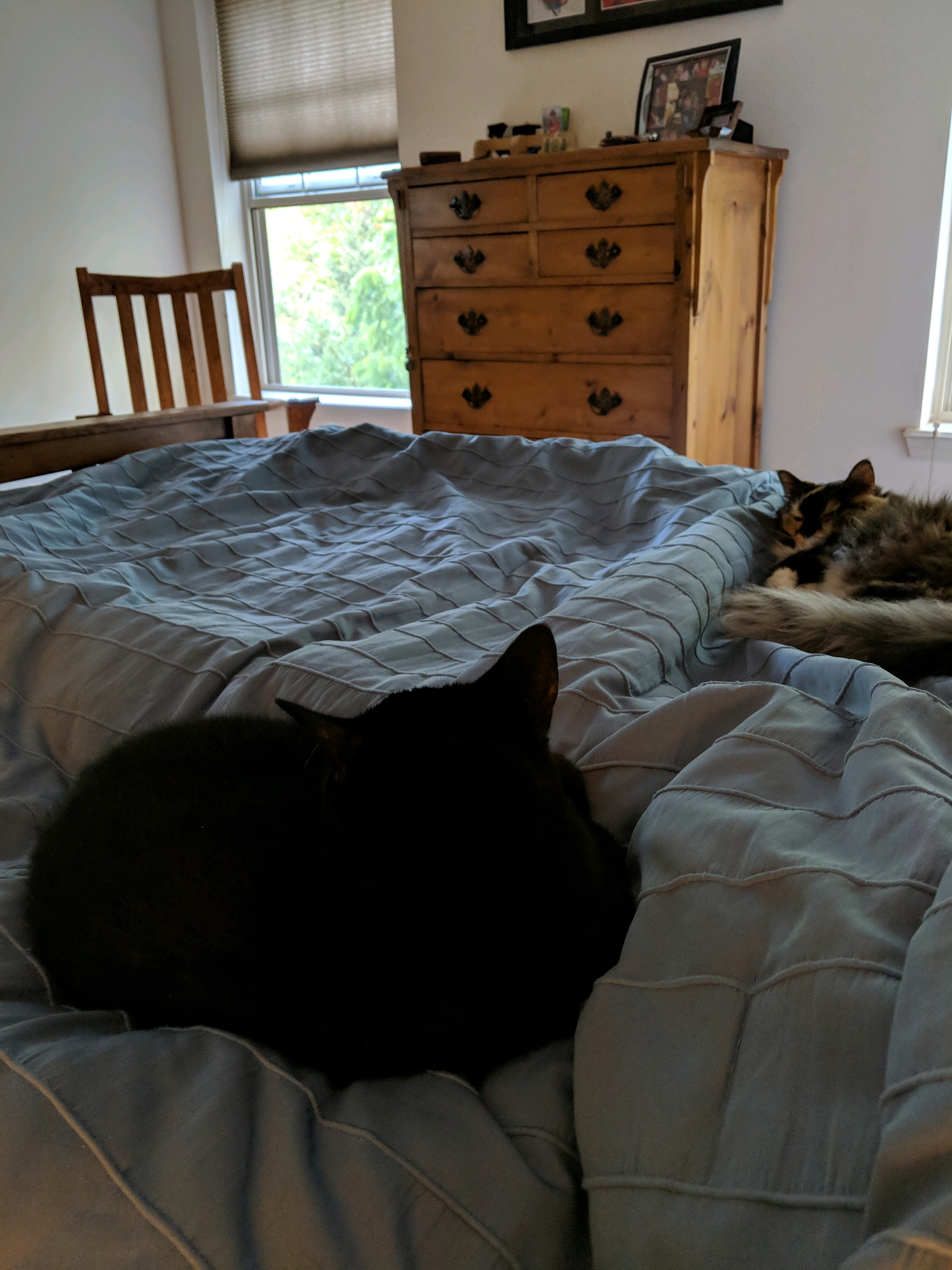 GroupMe 20181126 122942