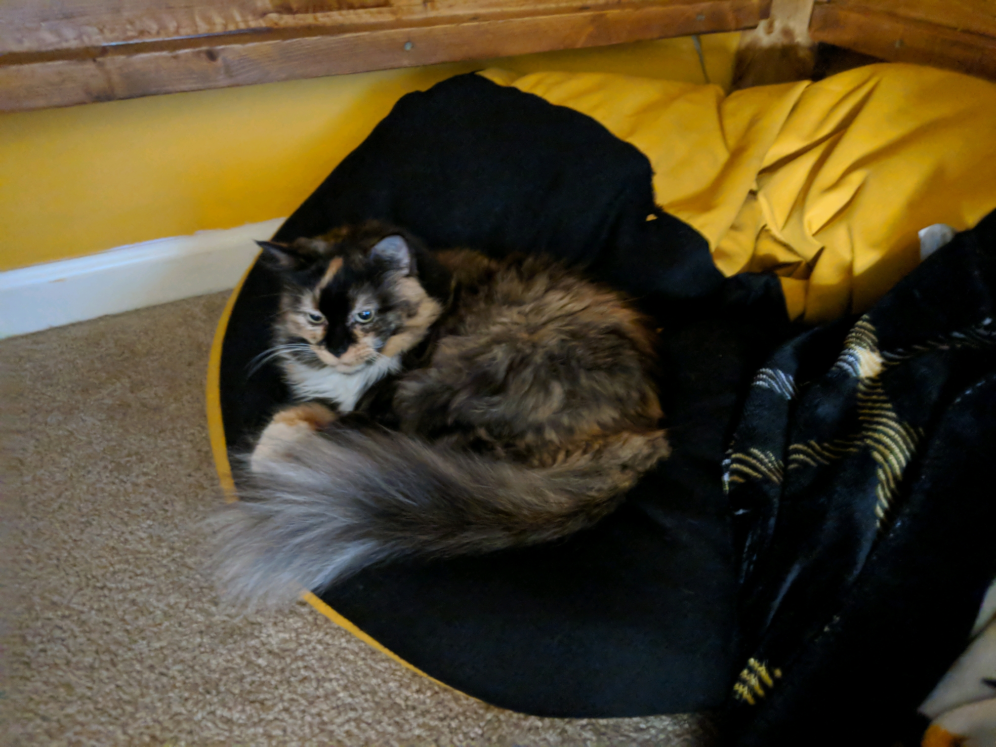 GroupMe 20181126 122948