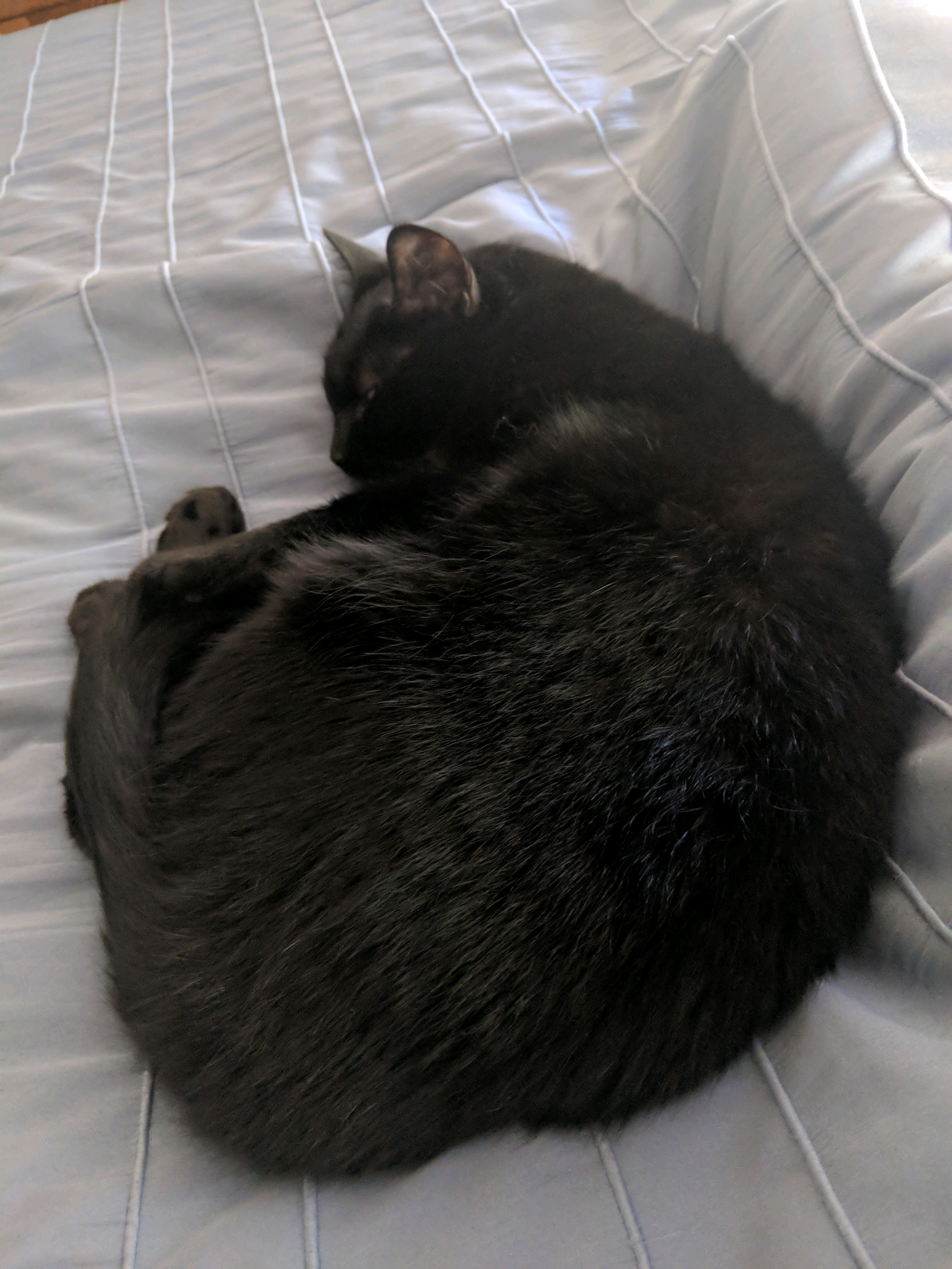 GroupMe 20181126 122952