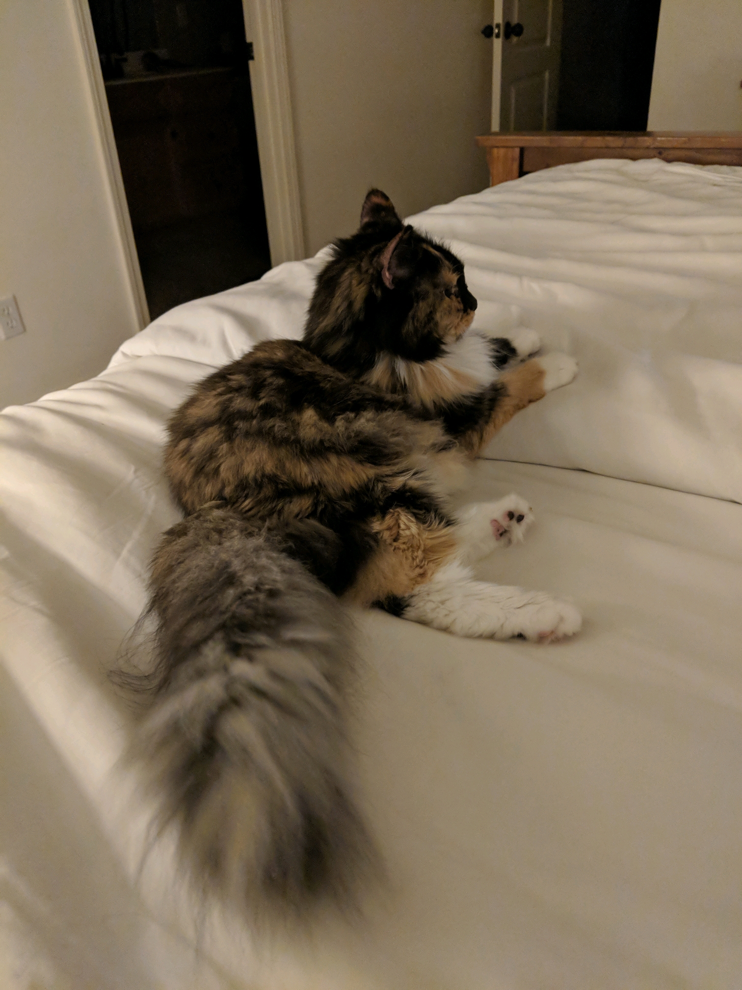 GroupMe 20181126 122958