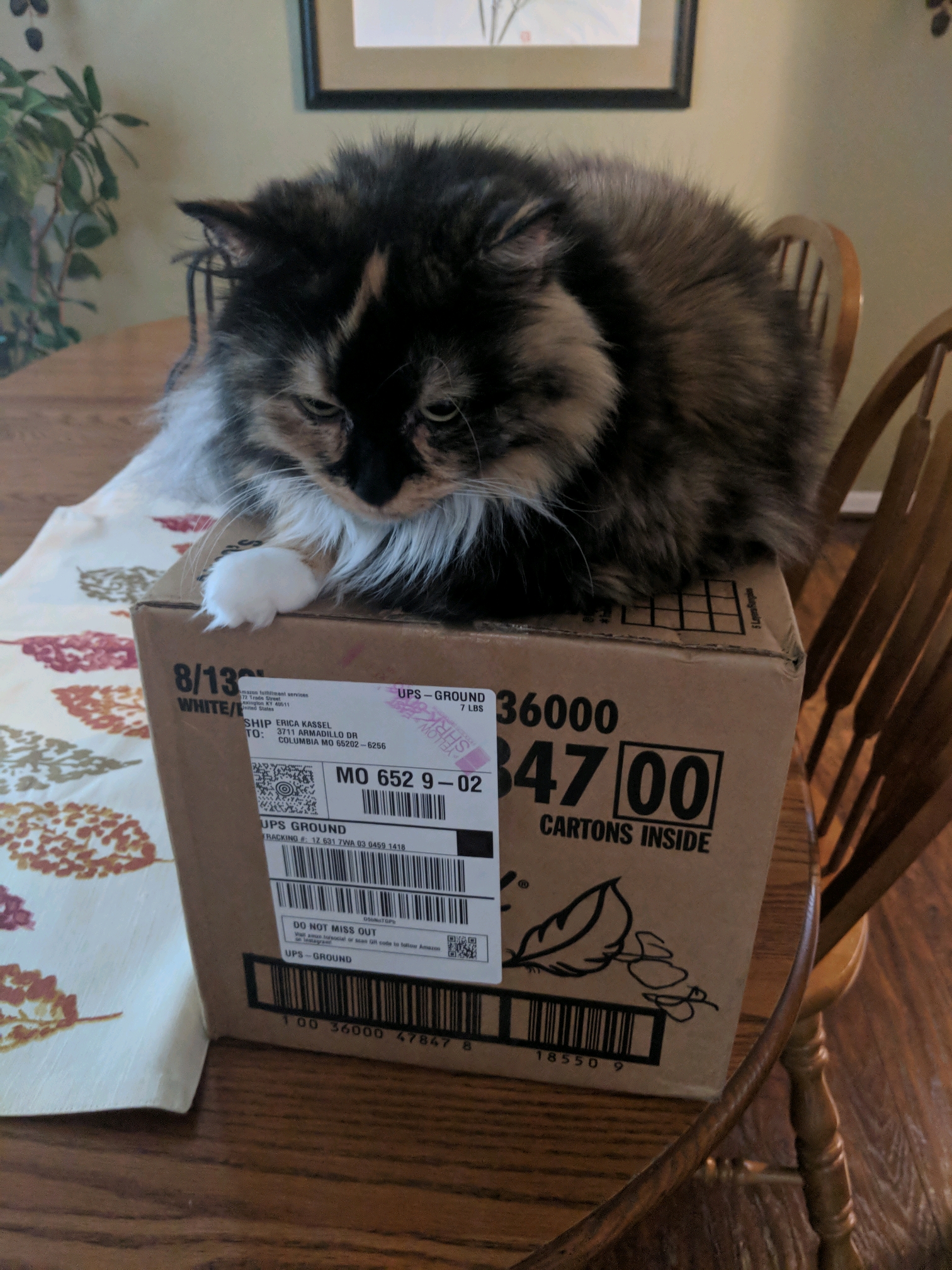 GroupMe 20181126 123028