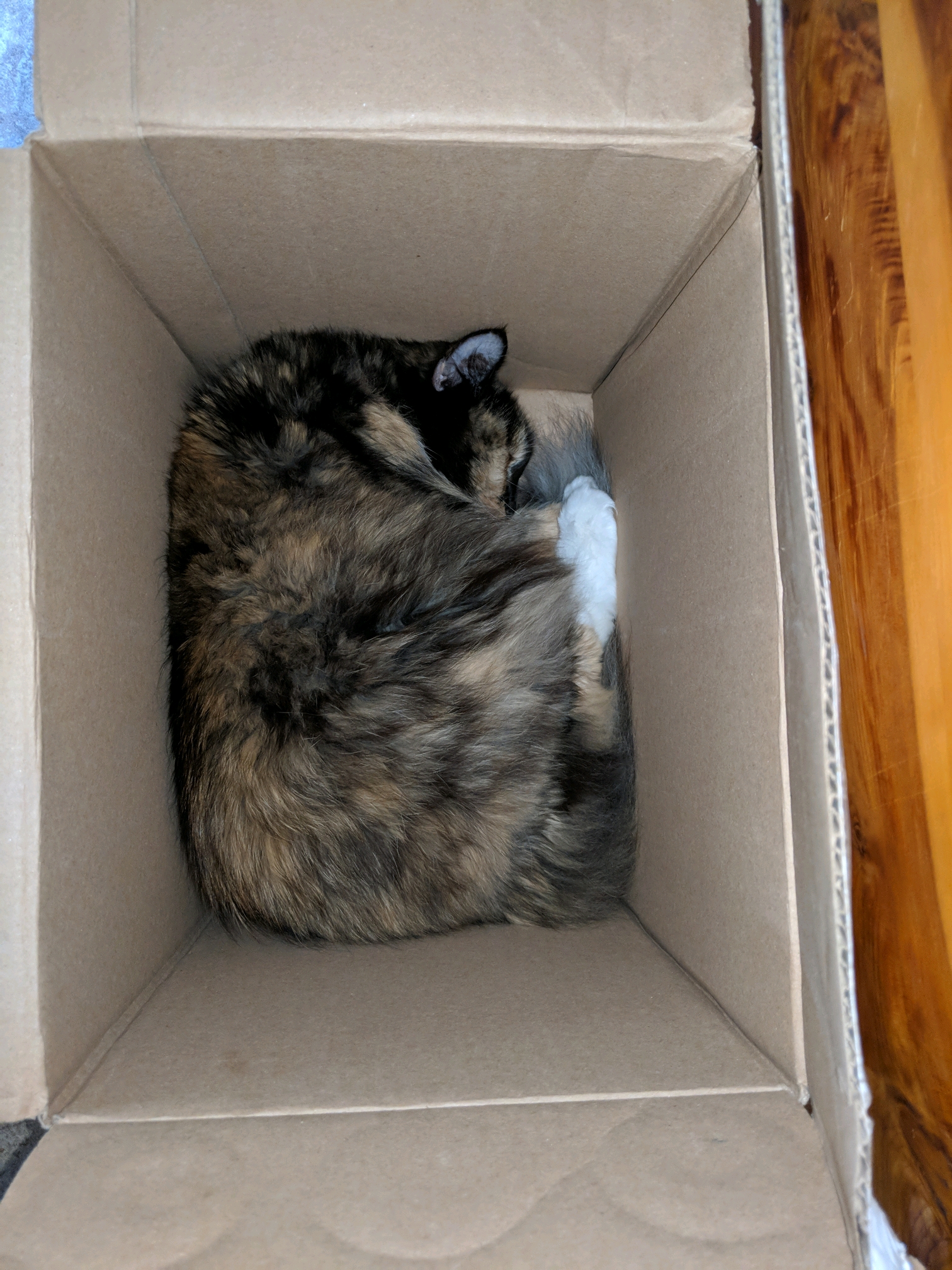 GroupMe 20181126 123040