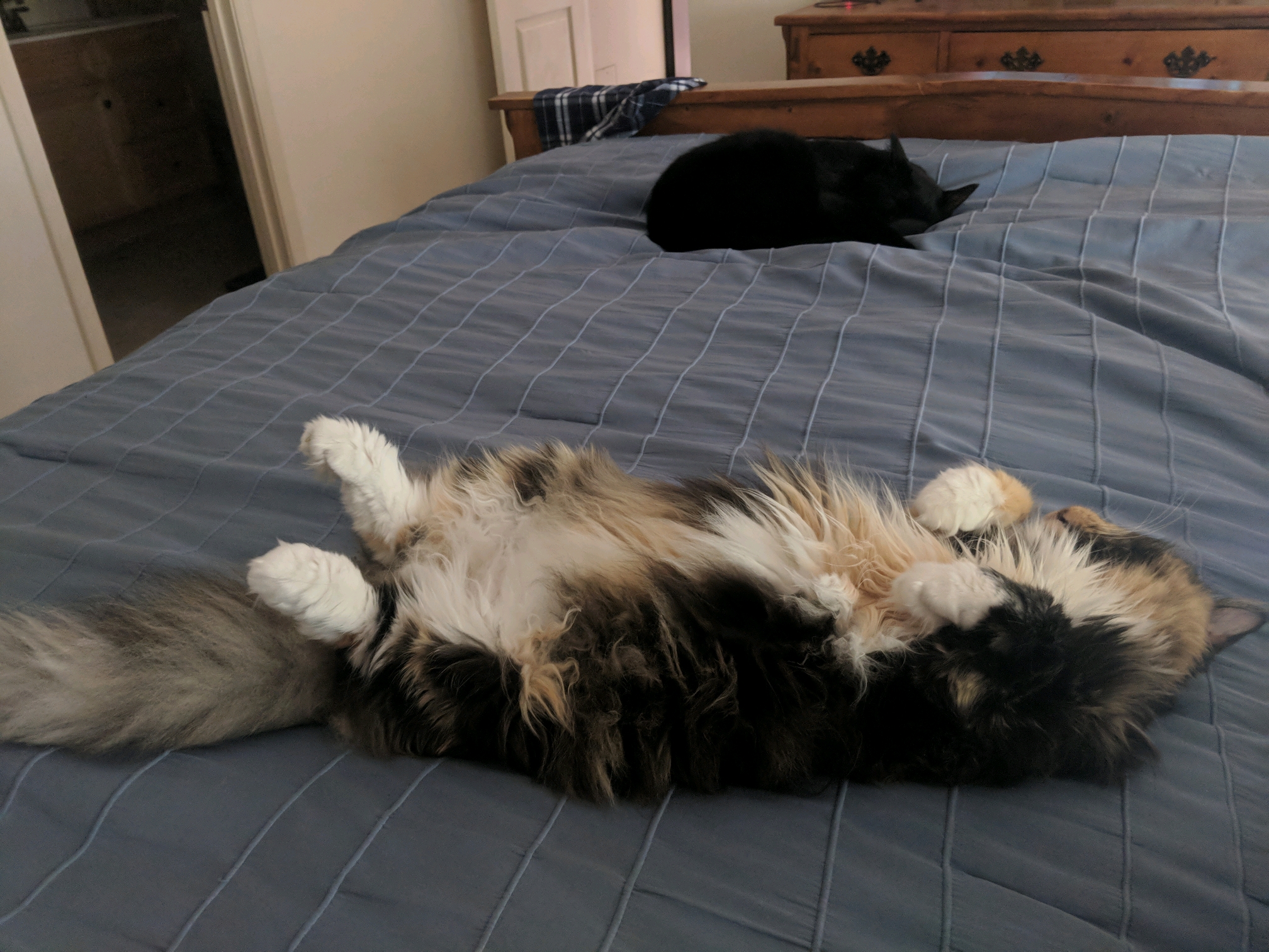 GroupMe 20181126 123058