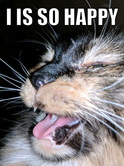 GroupMe 20181126 123110