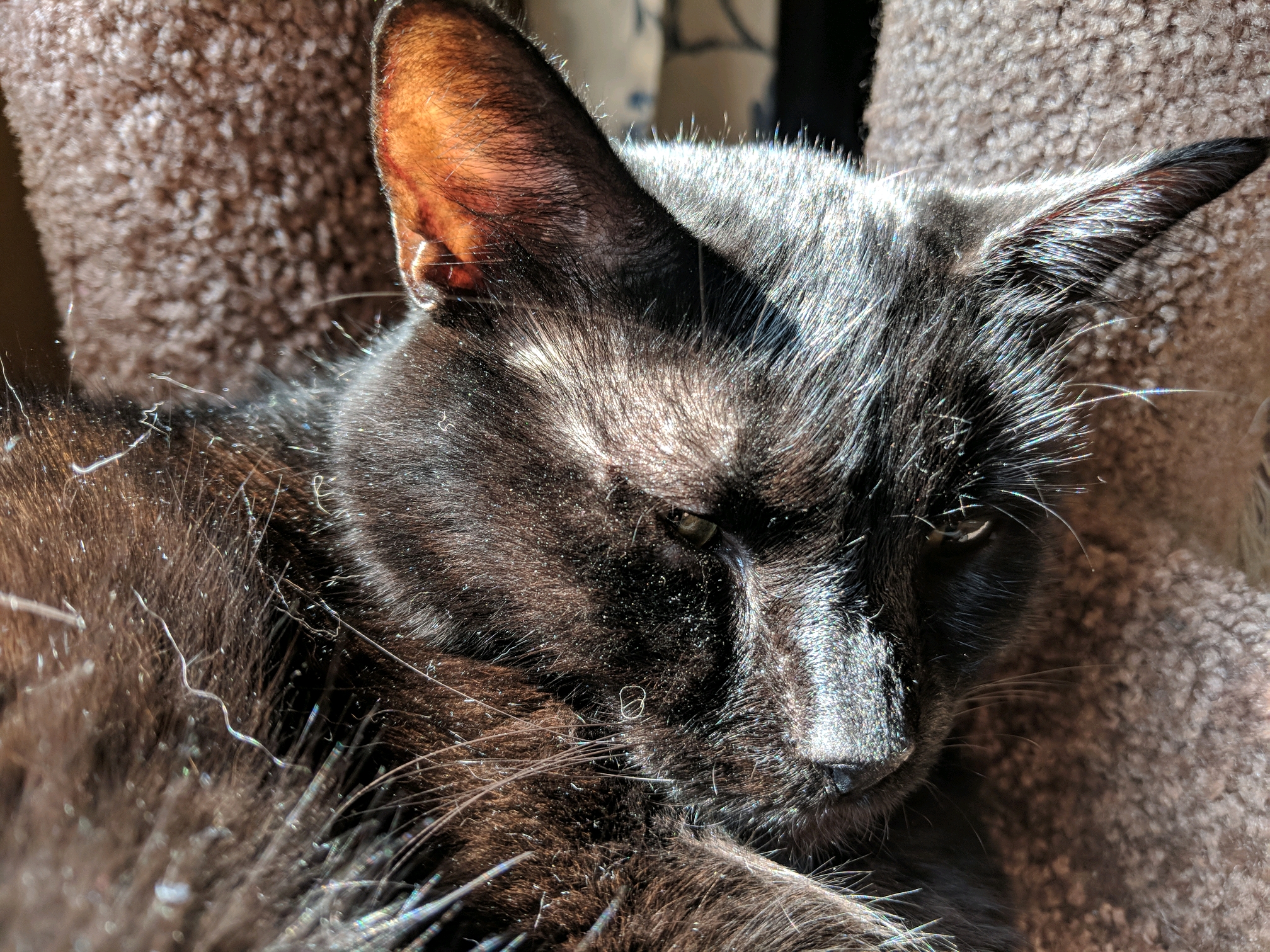 GroupMe 20181126 123124