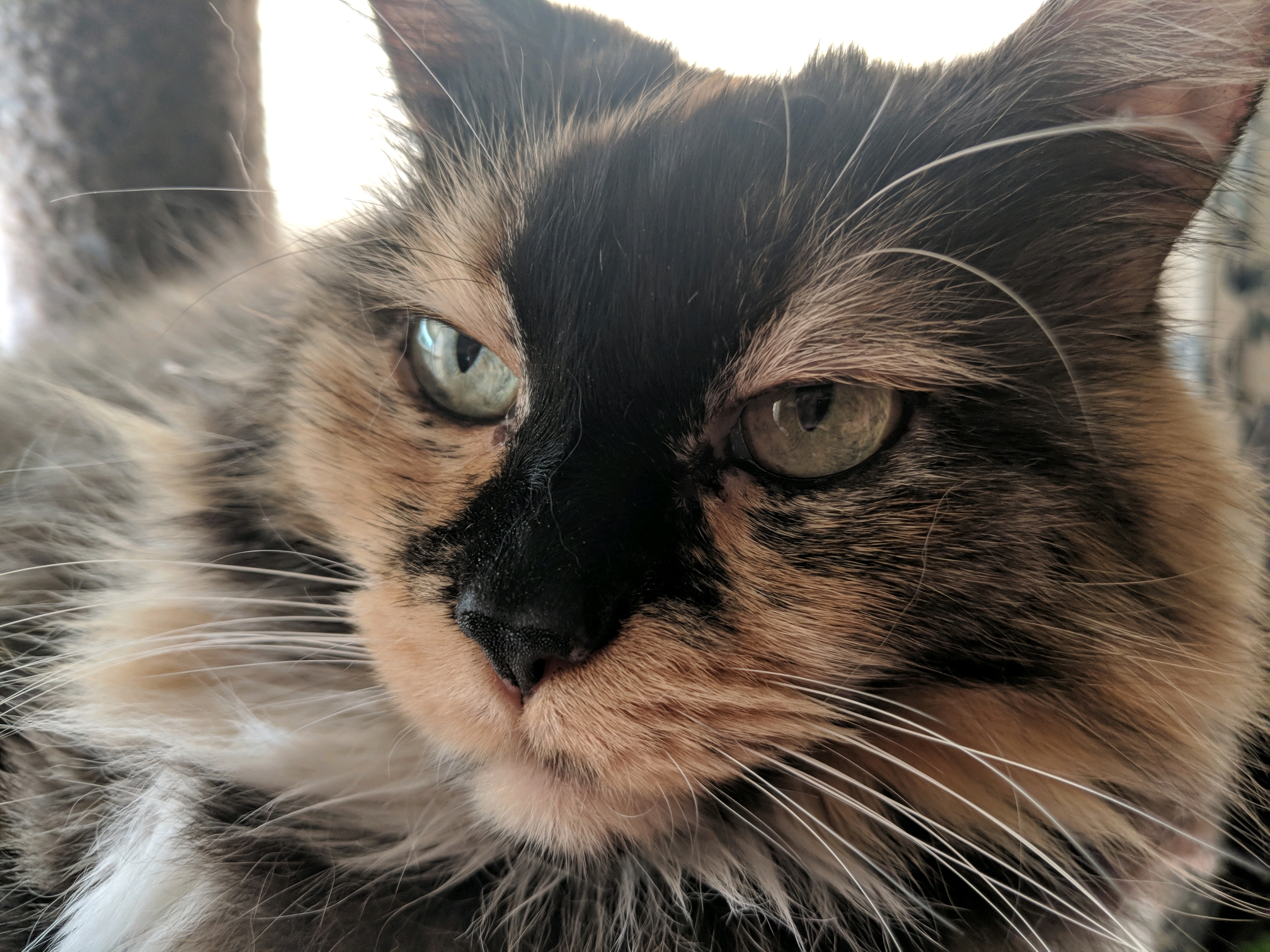 GroupMe 20181126 123128