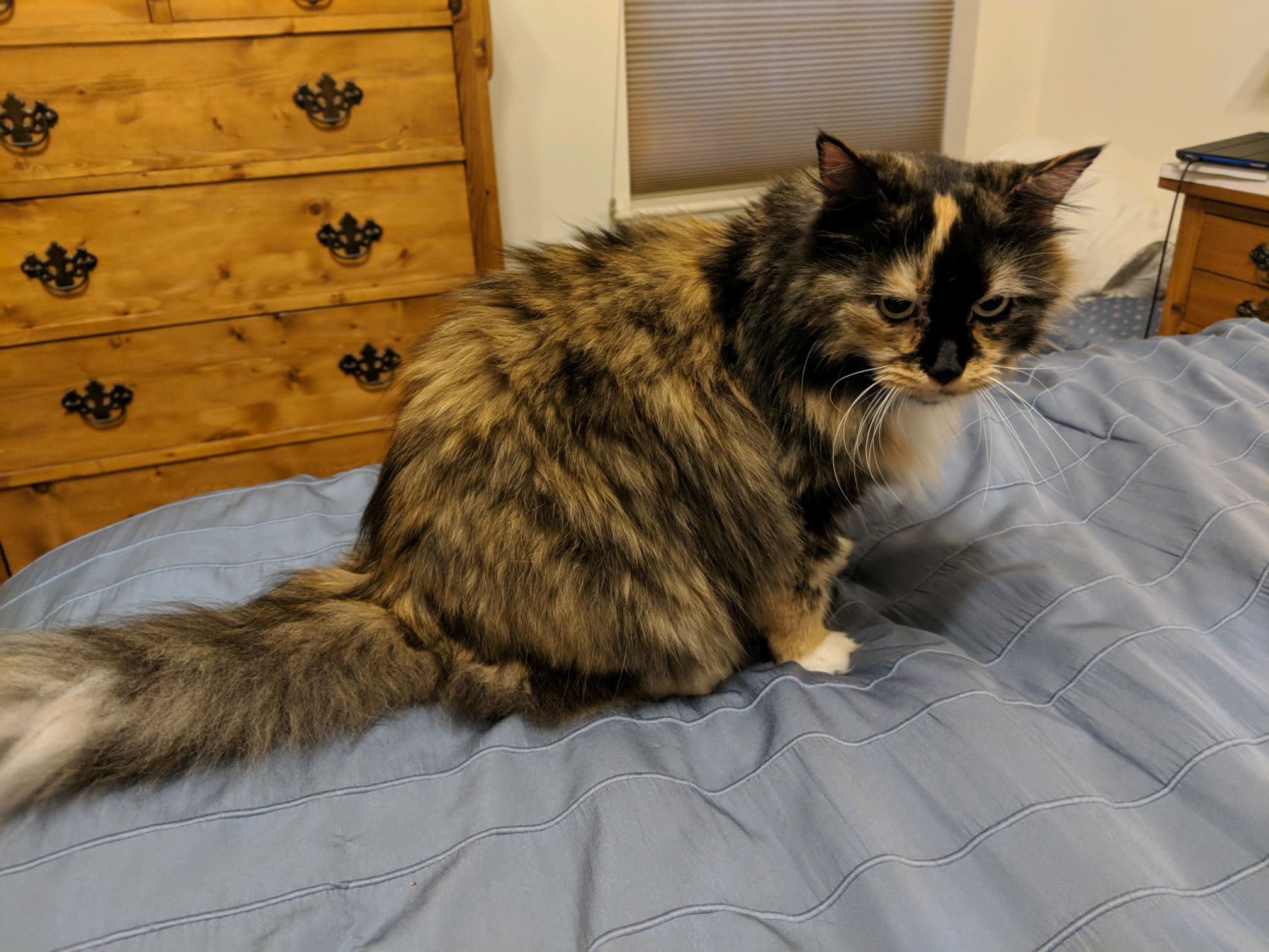 GroupMe 20181126 123156