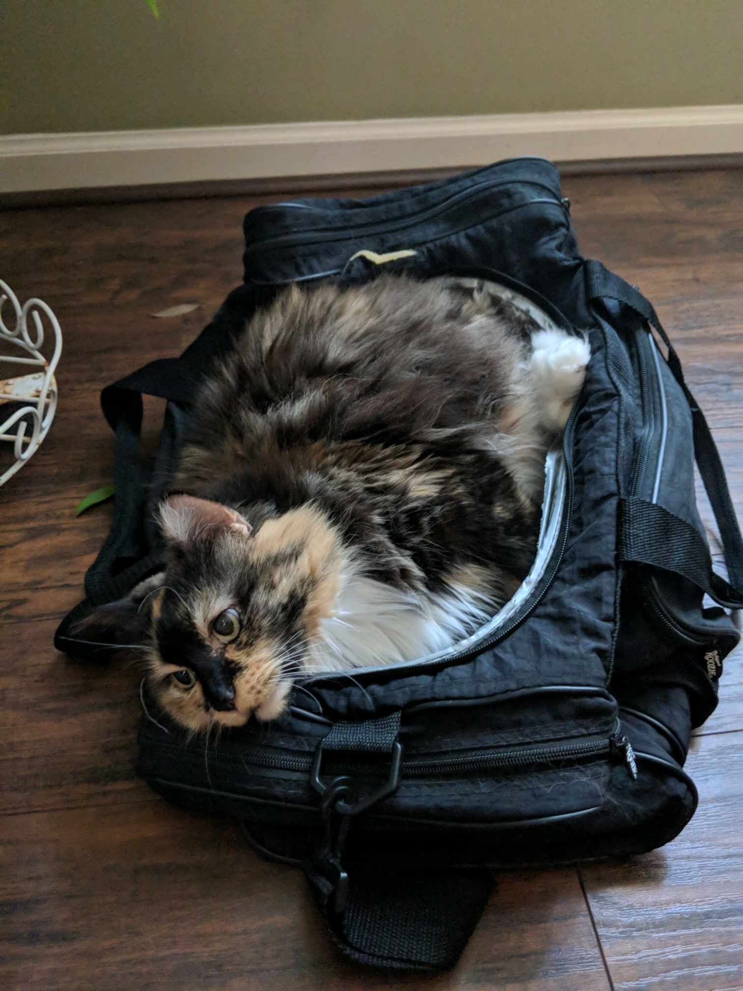 GroupMe 20181126 123226