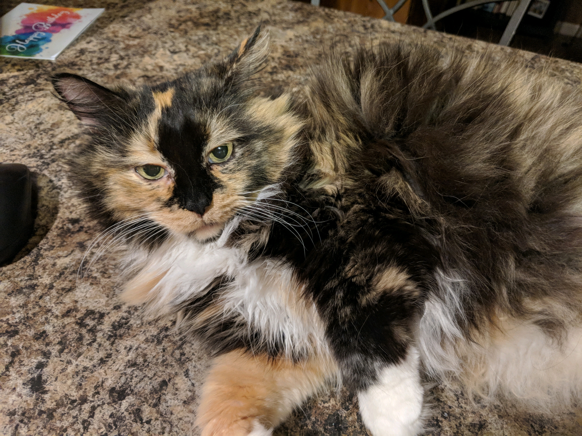 GroupMe 20181126 123246