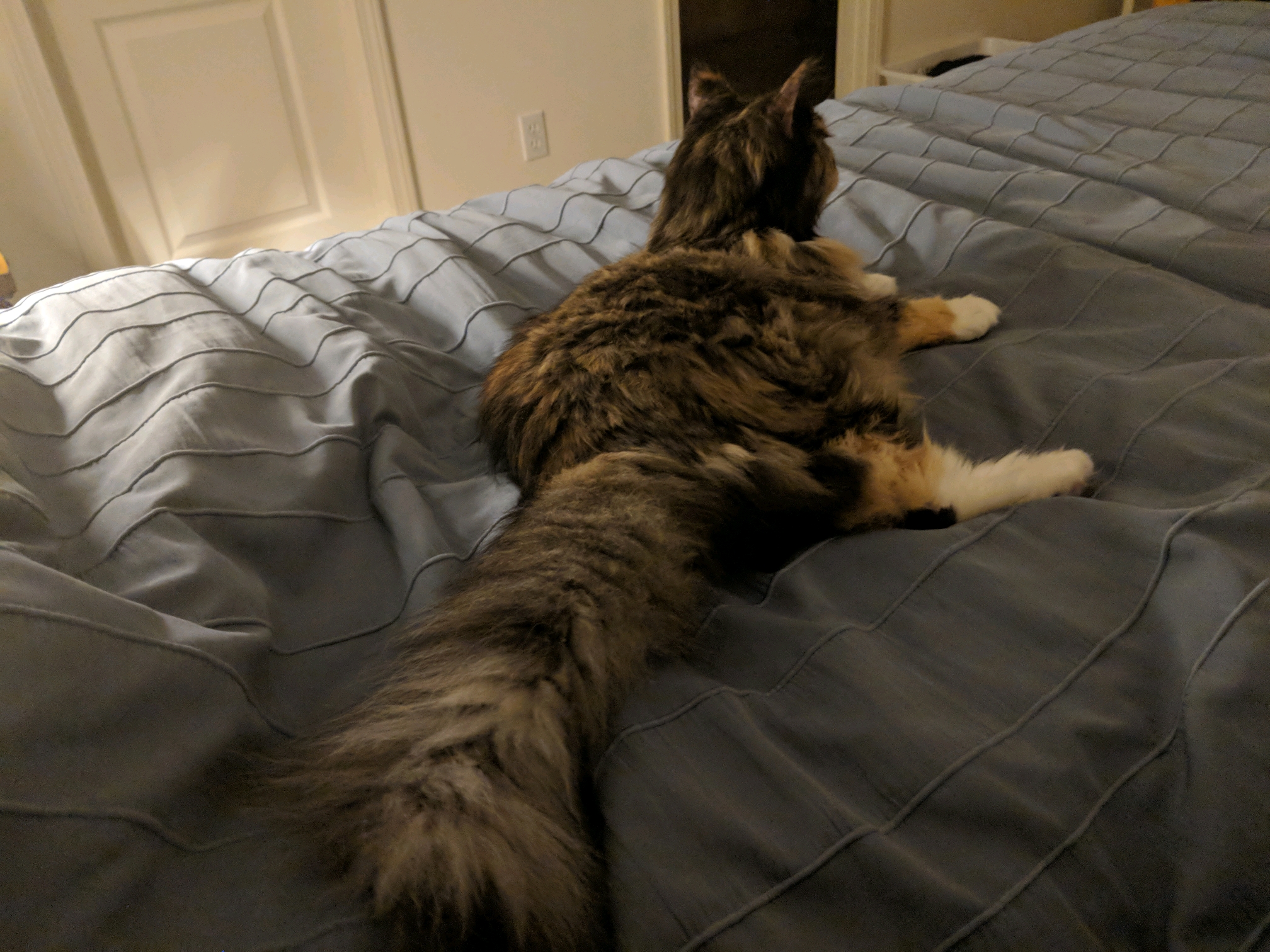 GroupMe 20181126 123348