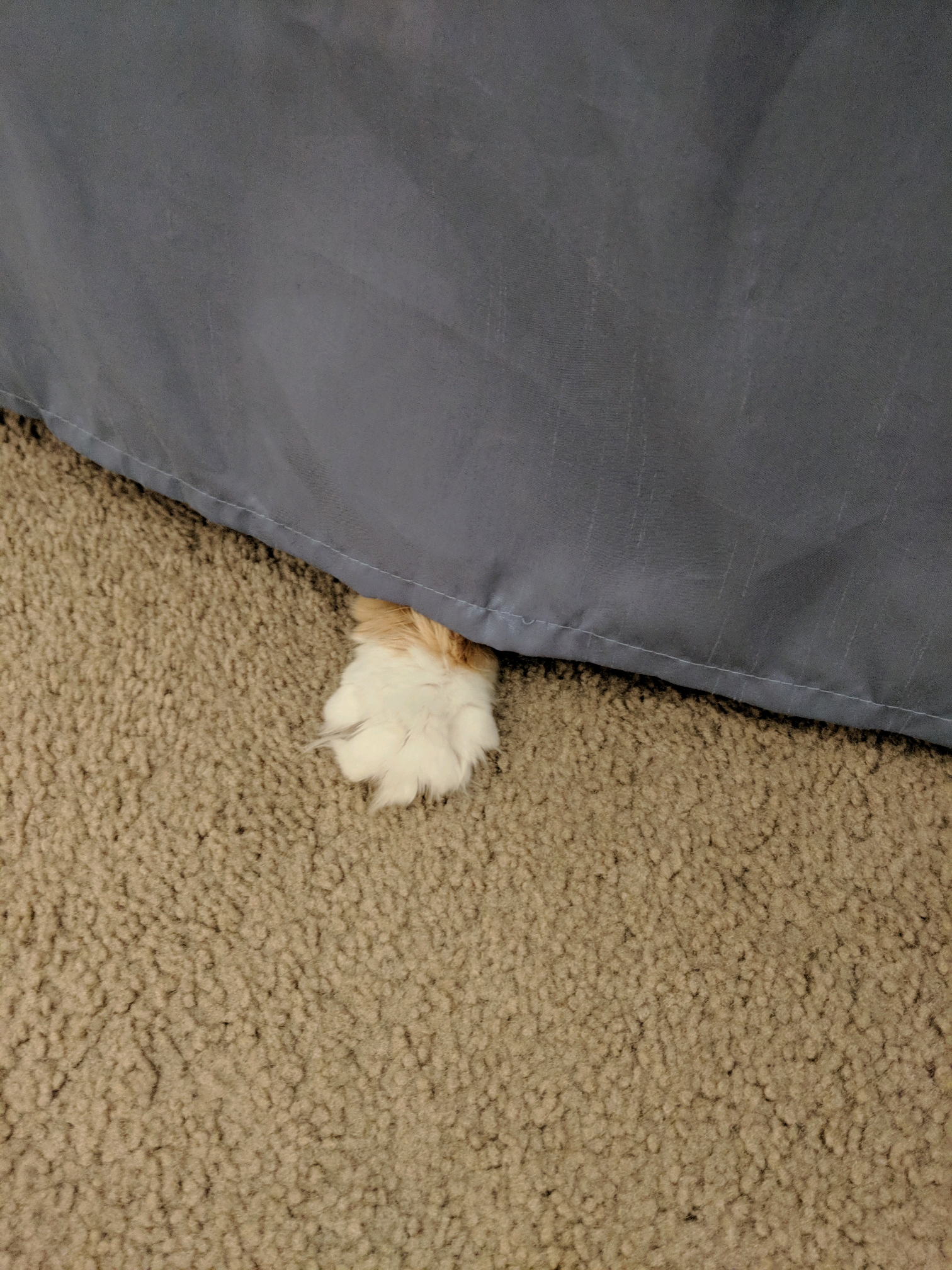 GroupMe 20181126 12341