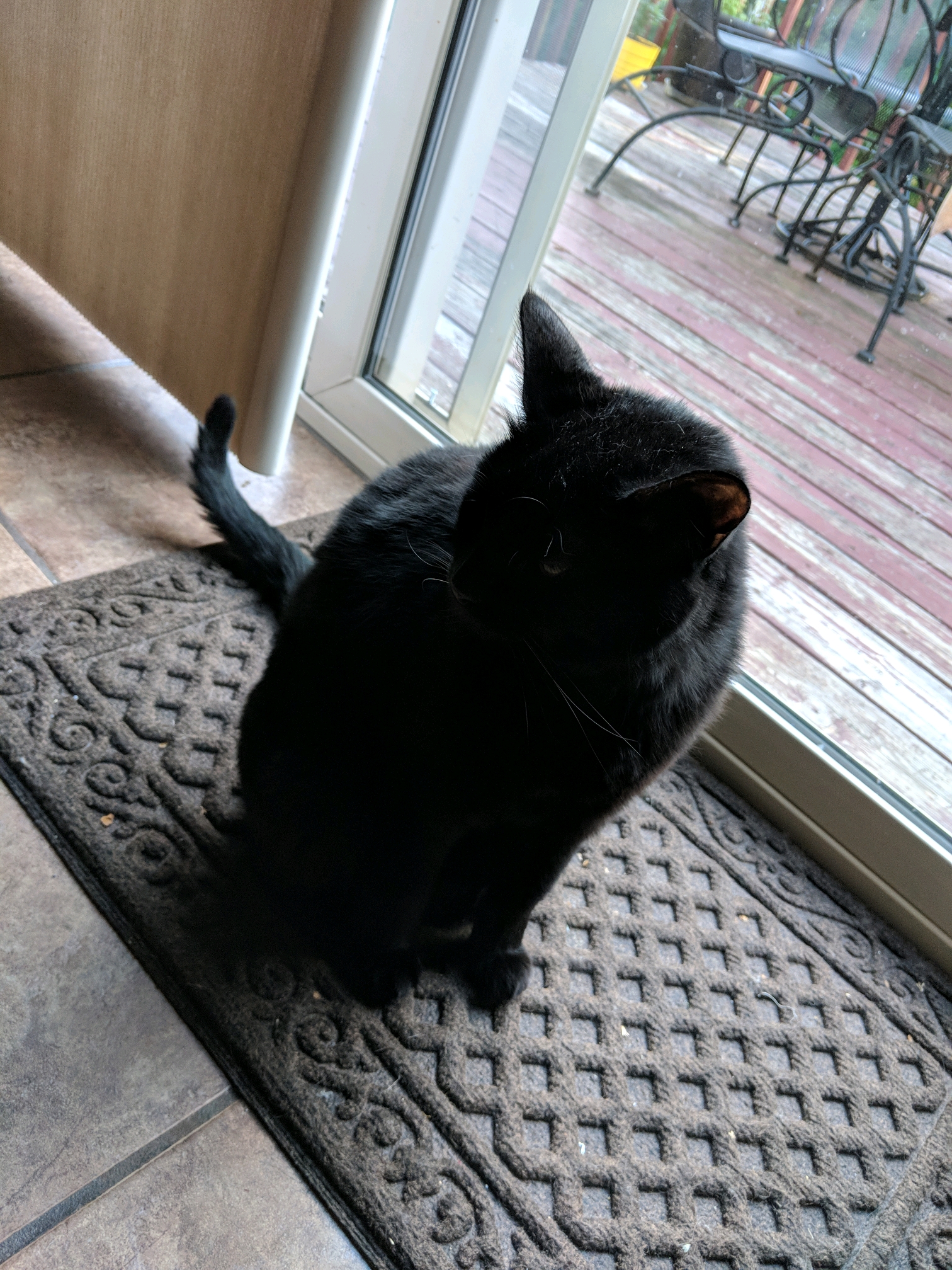 GroupMe 20181126 123415