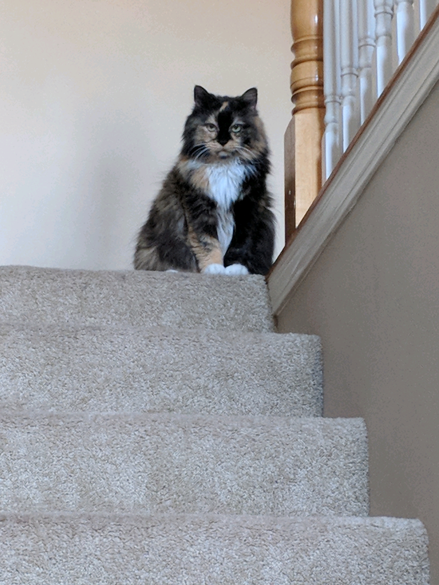 GroupMe 20181126 123425