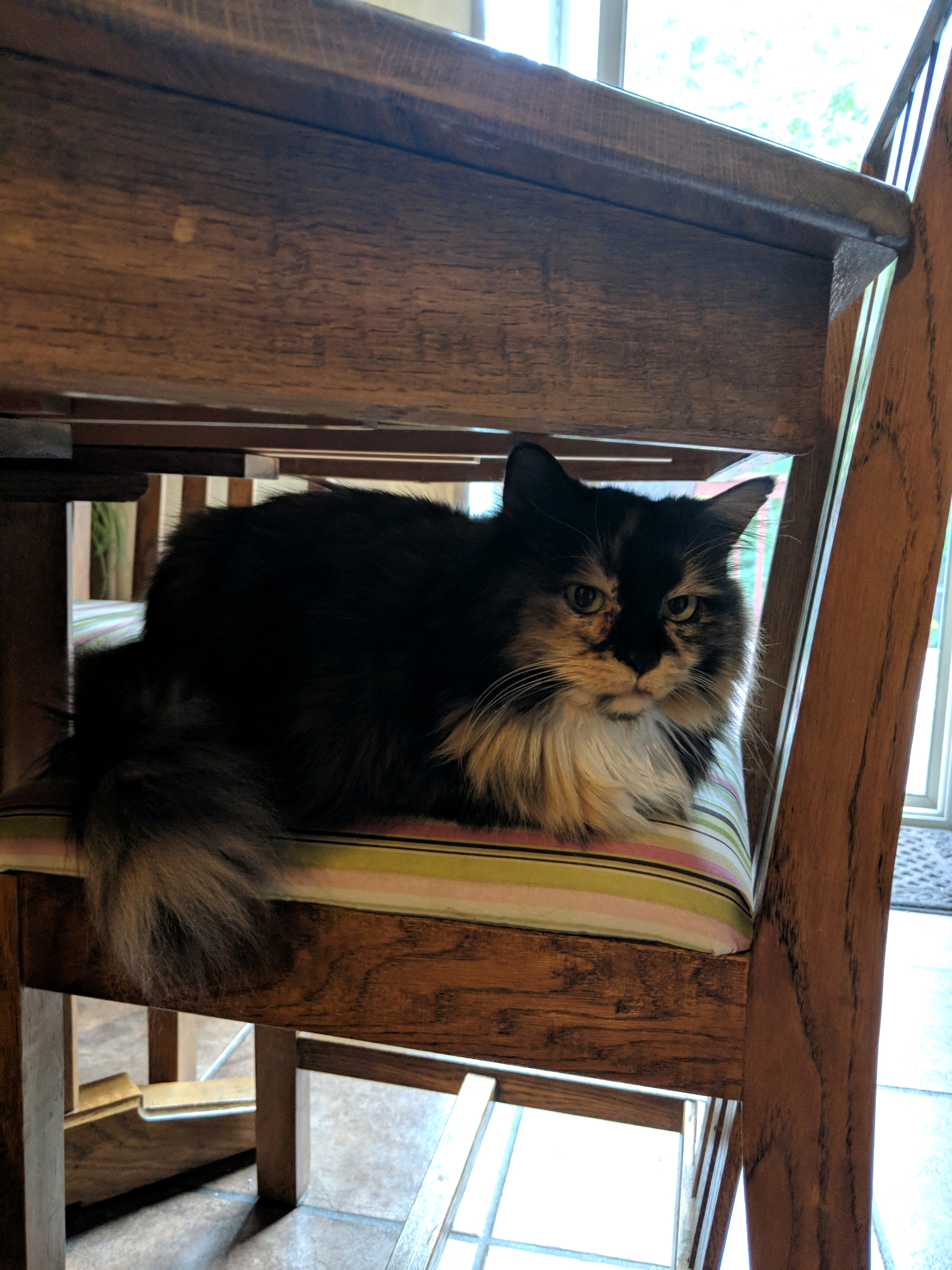 GroupMe 20181126 123439