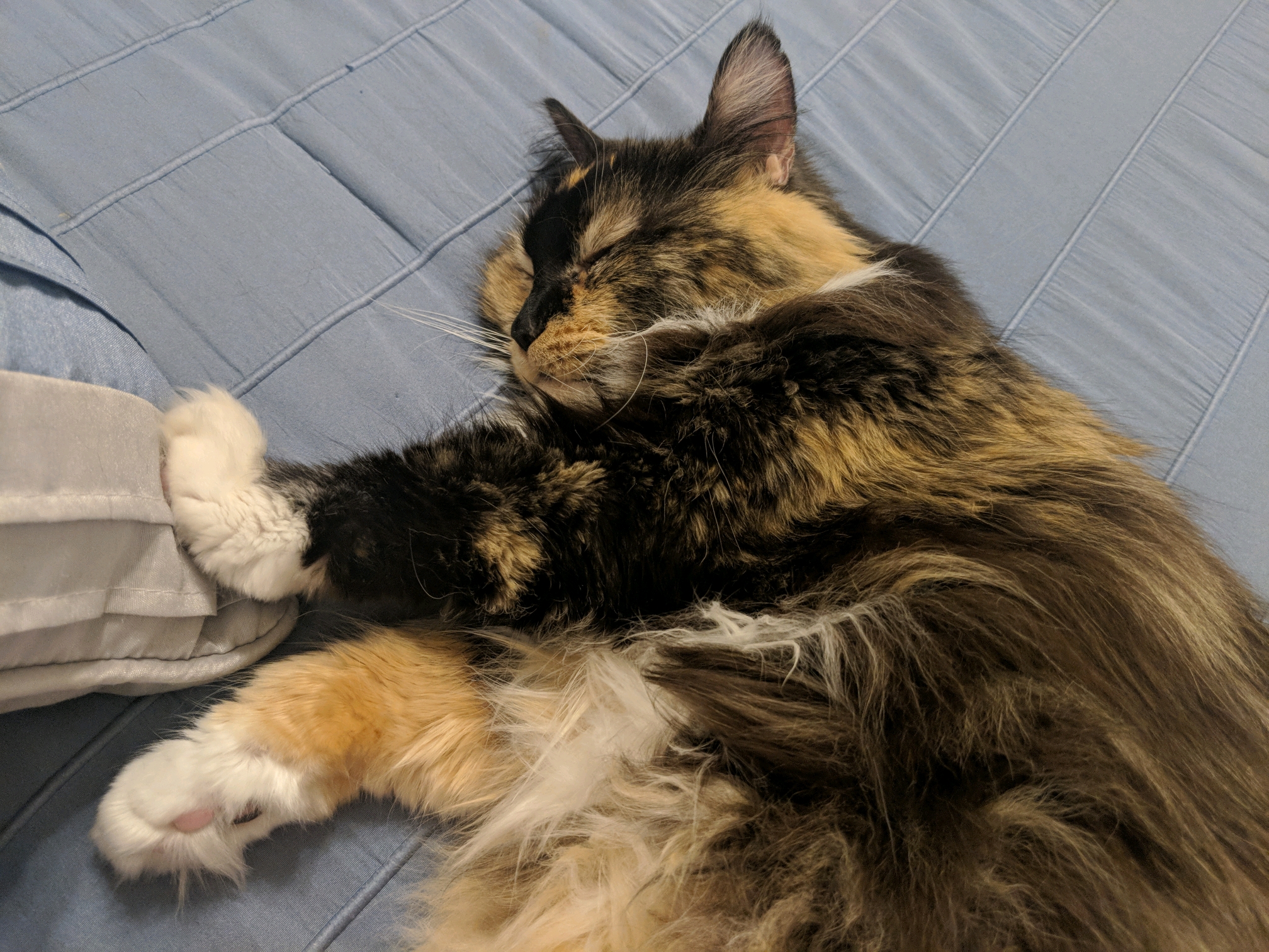 GroupMe 20181126 123521