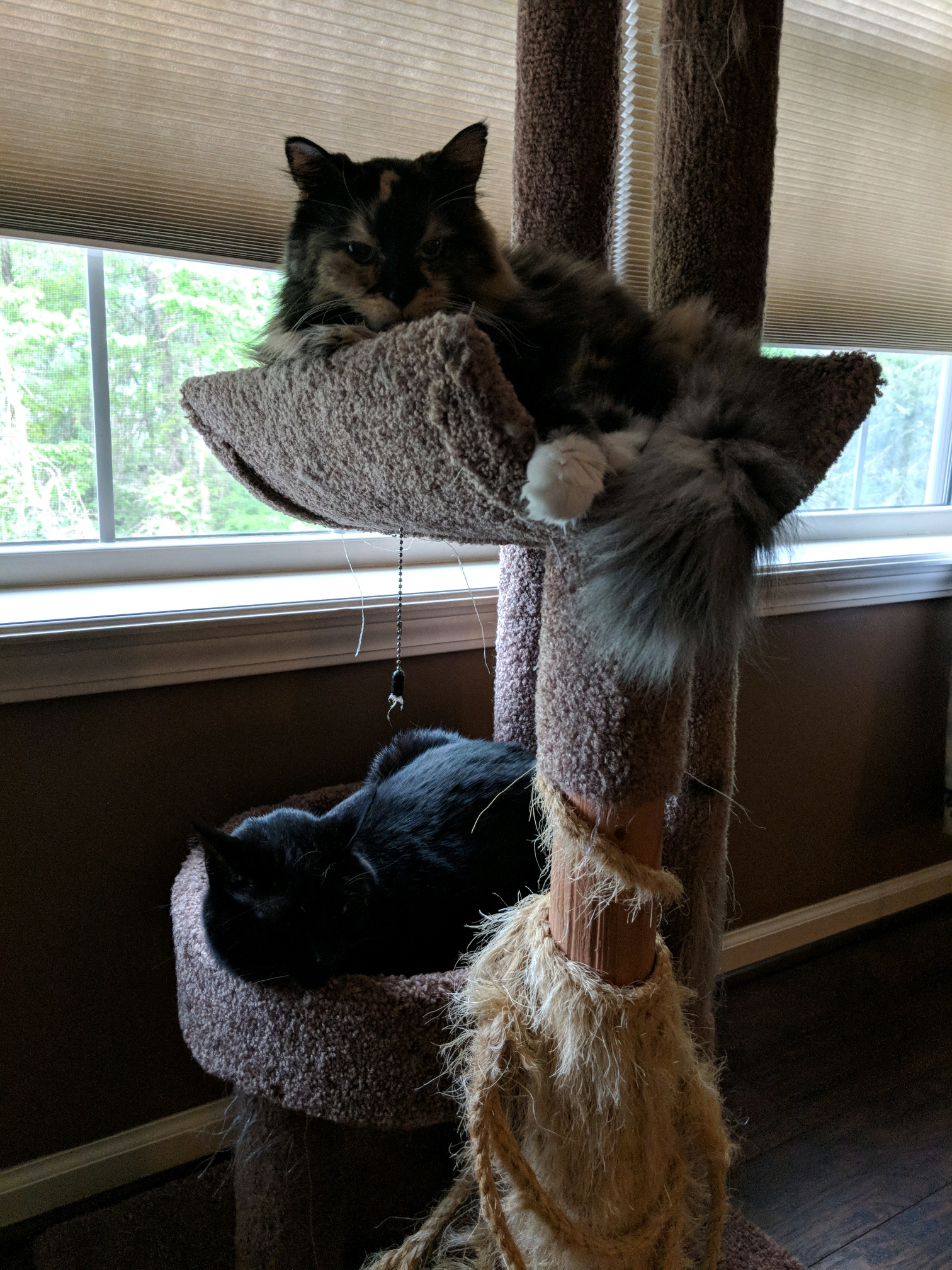 GroupMe 20181126 123525