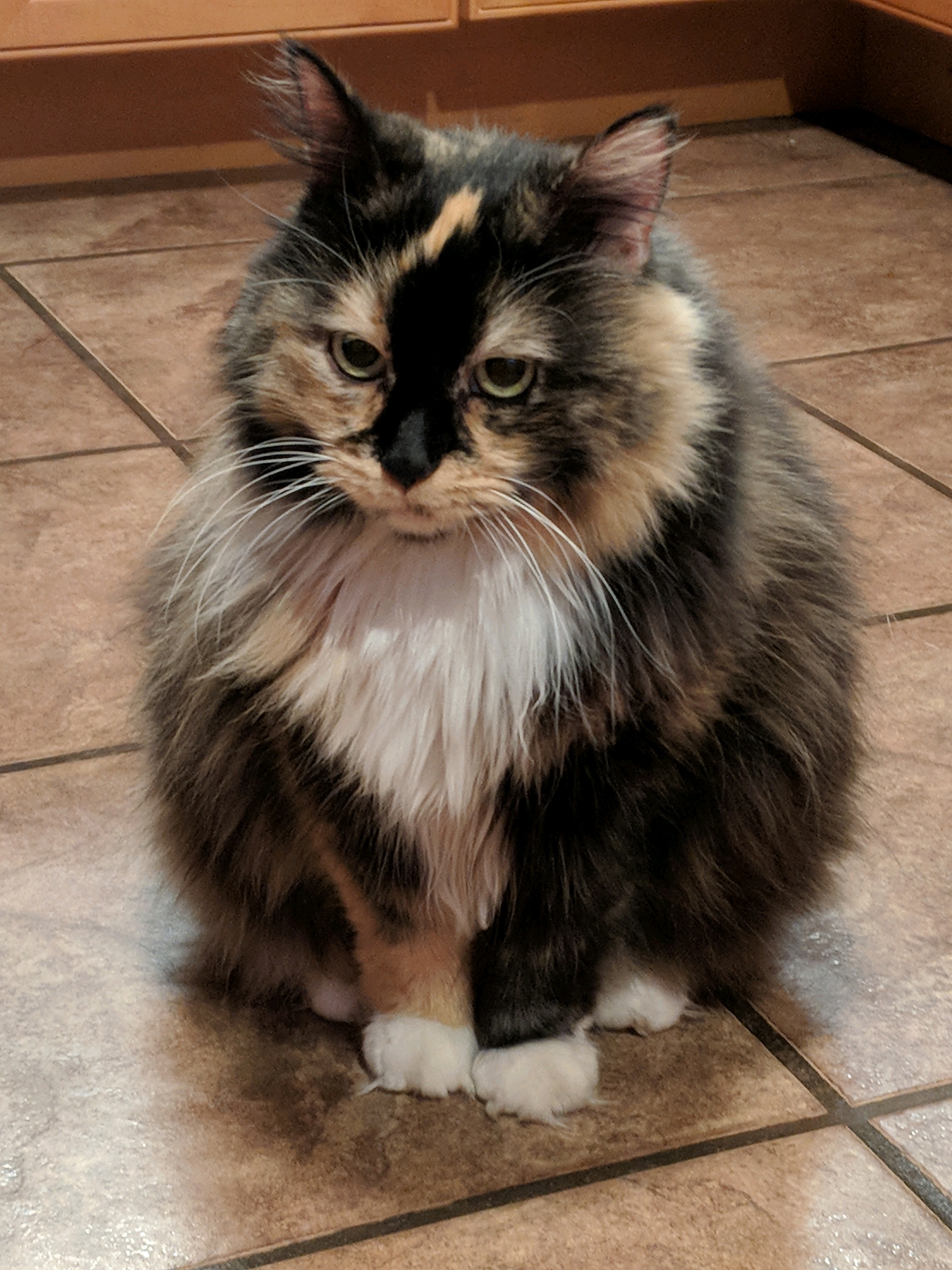 GroupMe 20181126 123530