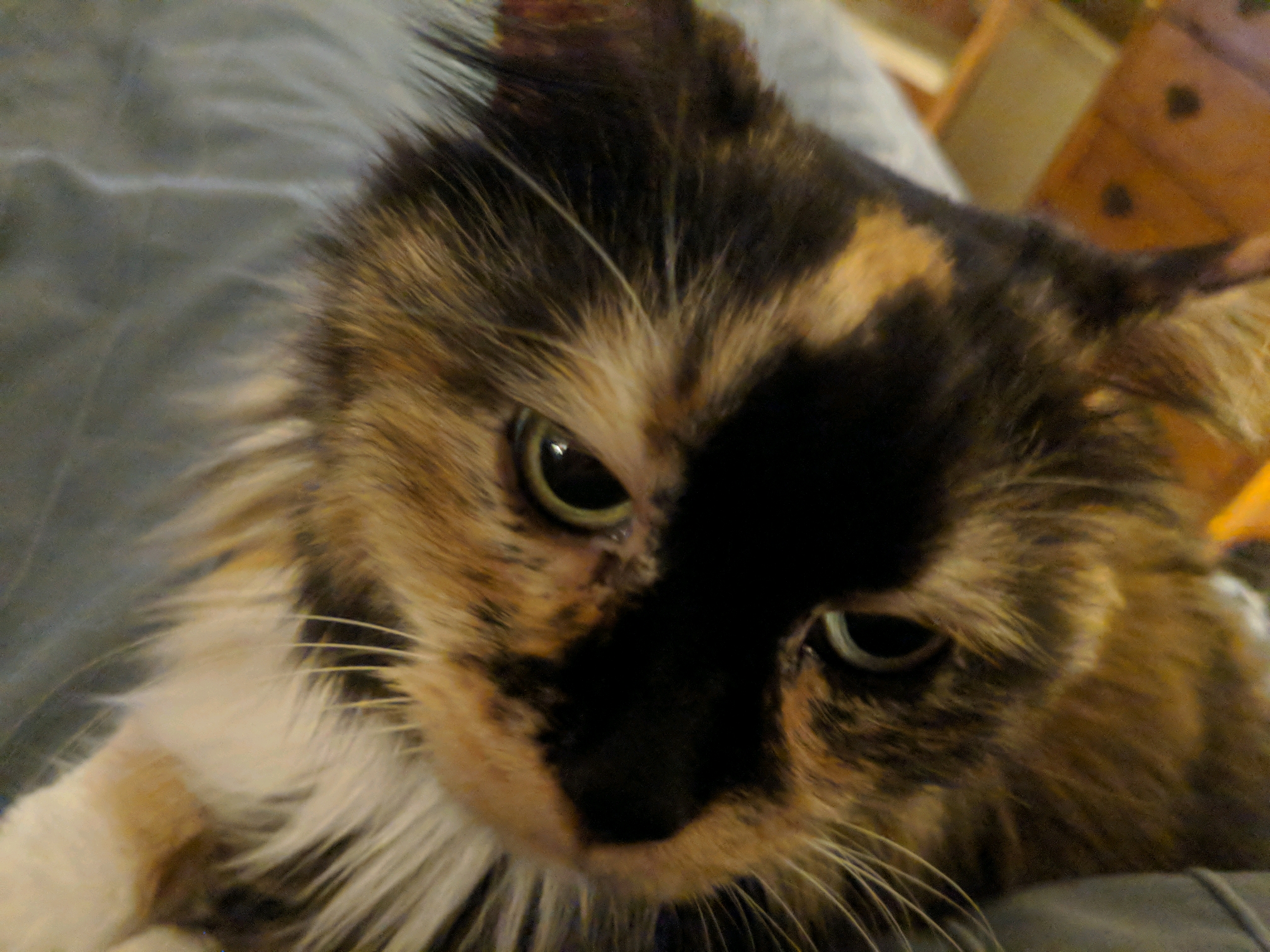 GroupMe 20181126 12355