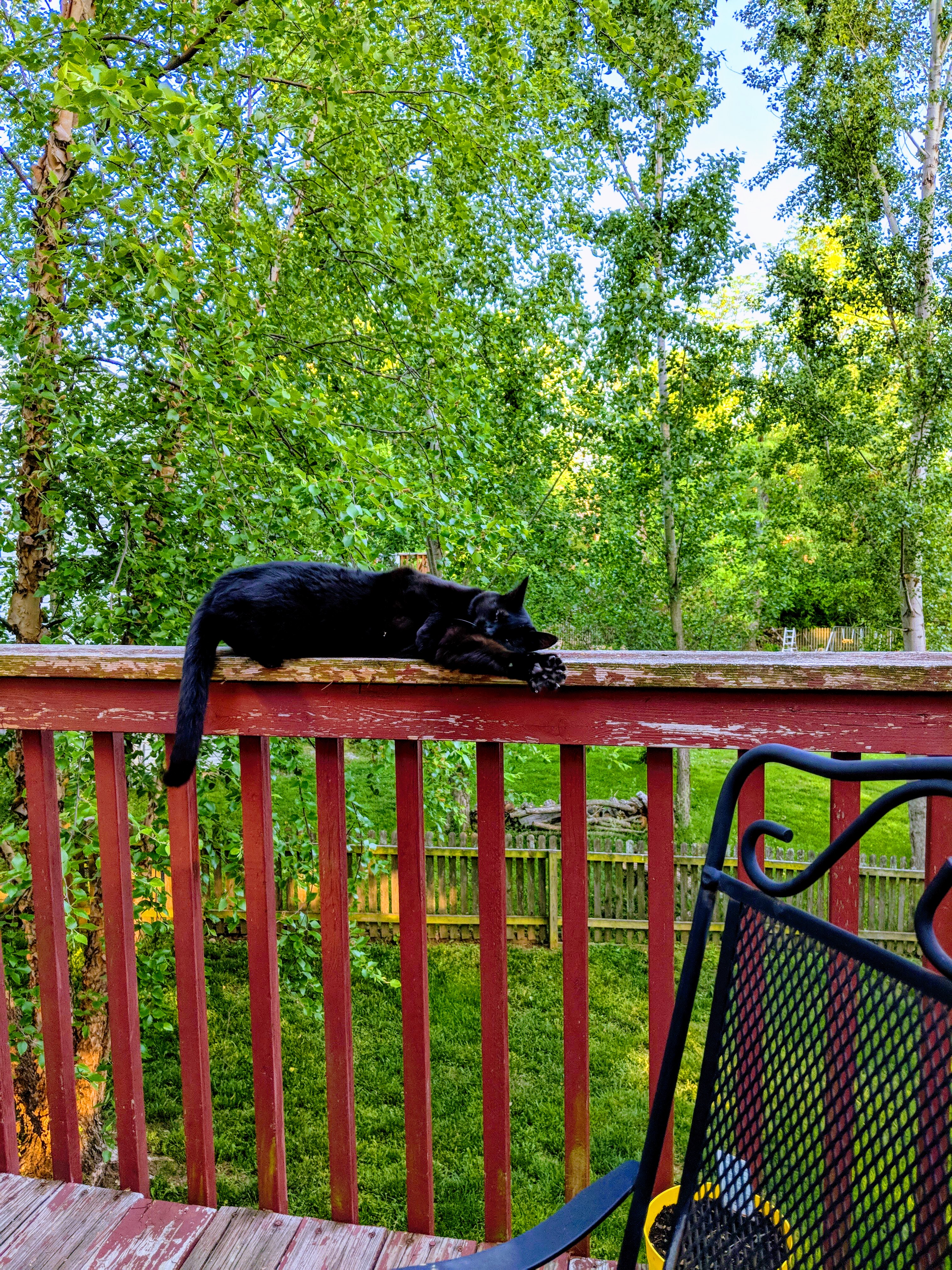 IMG 20180522 192211 EFFECTS