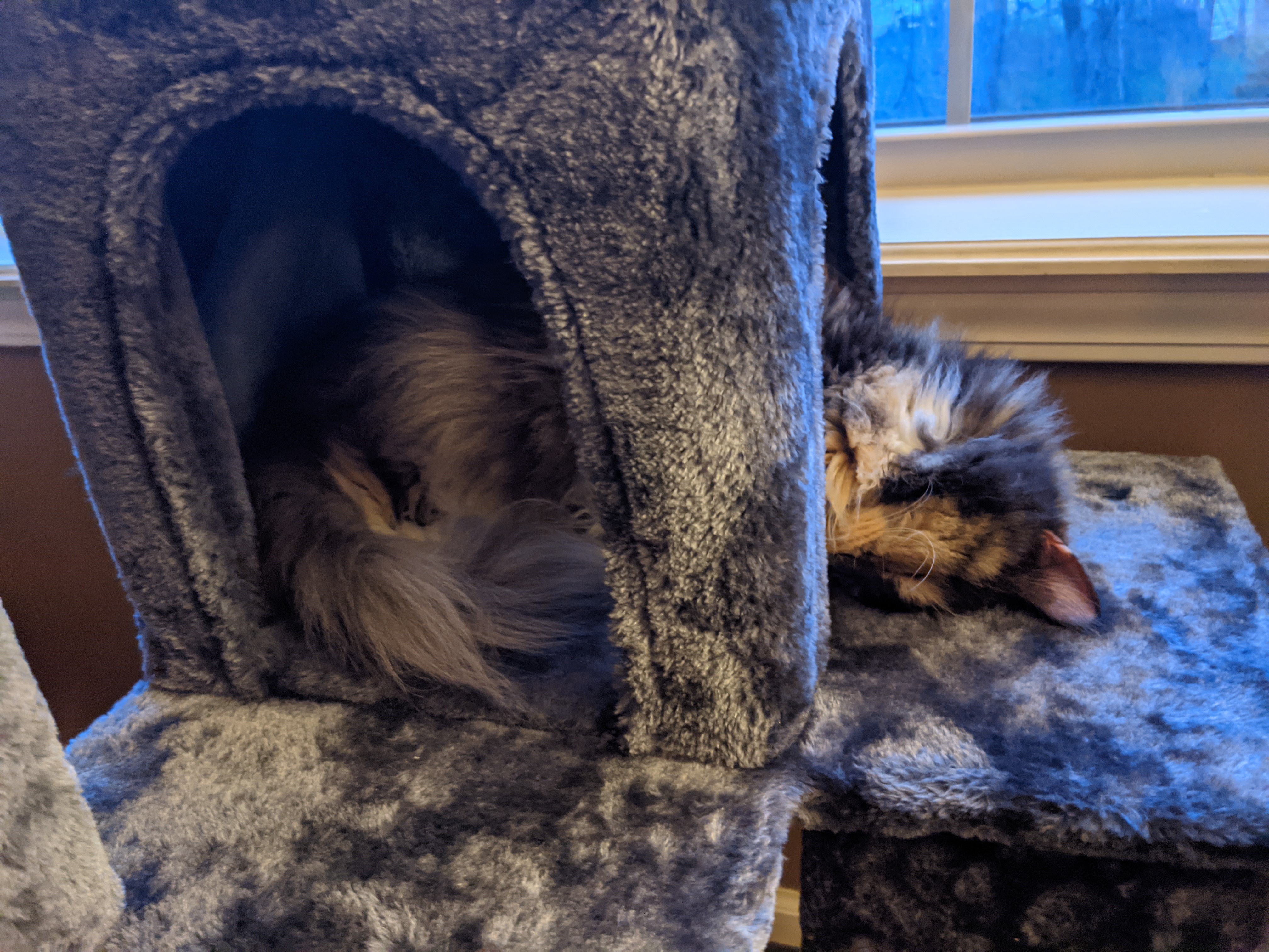 PXL 20210413 005650669