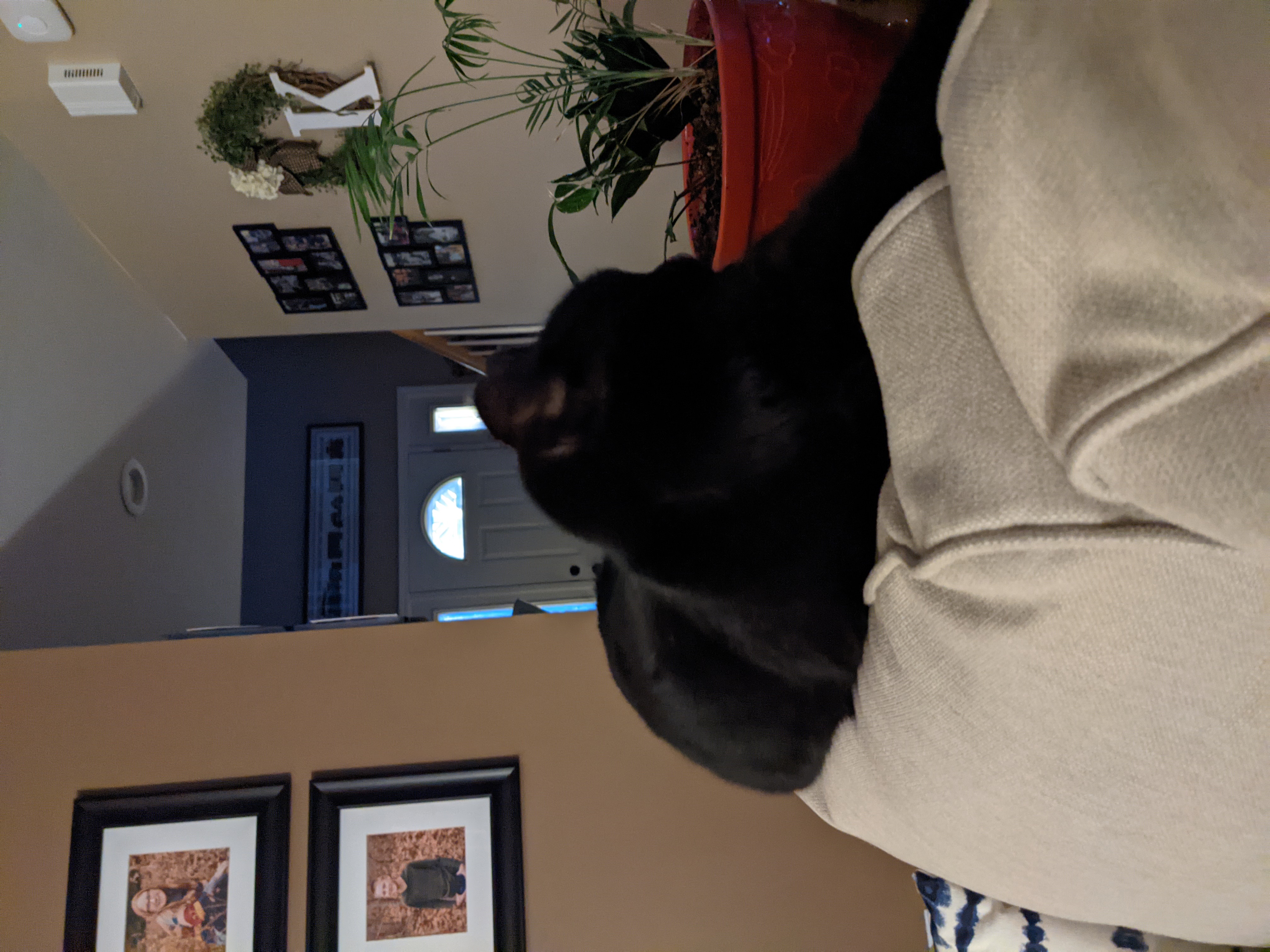 PXL 20210413 010128268