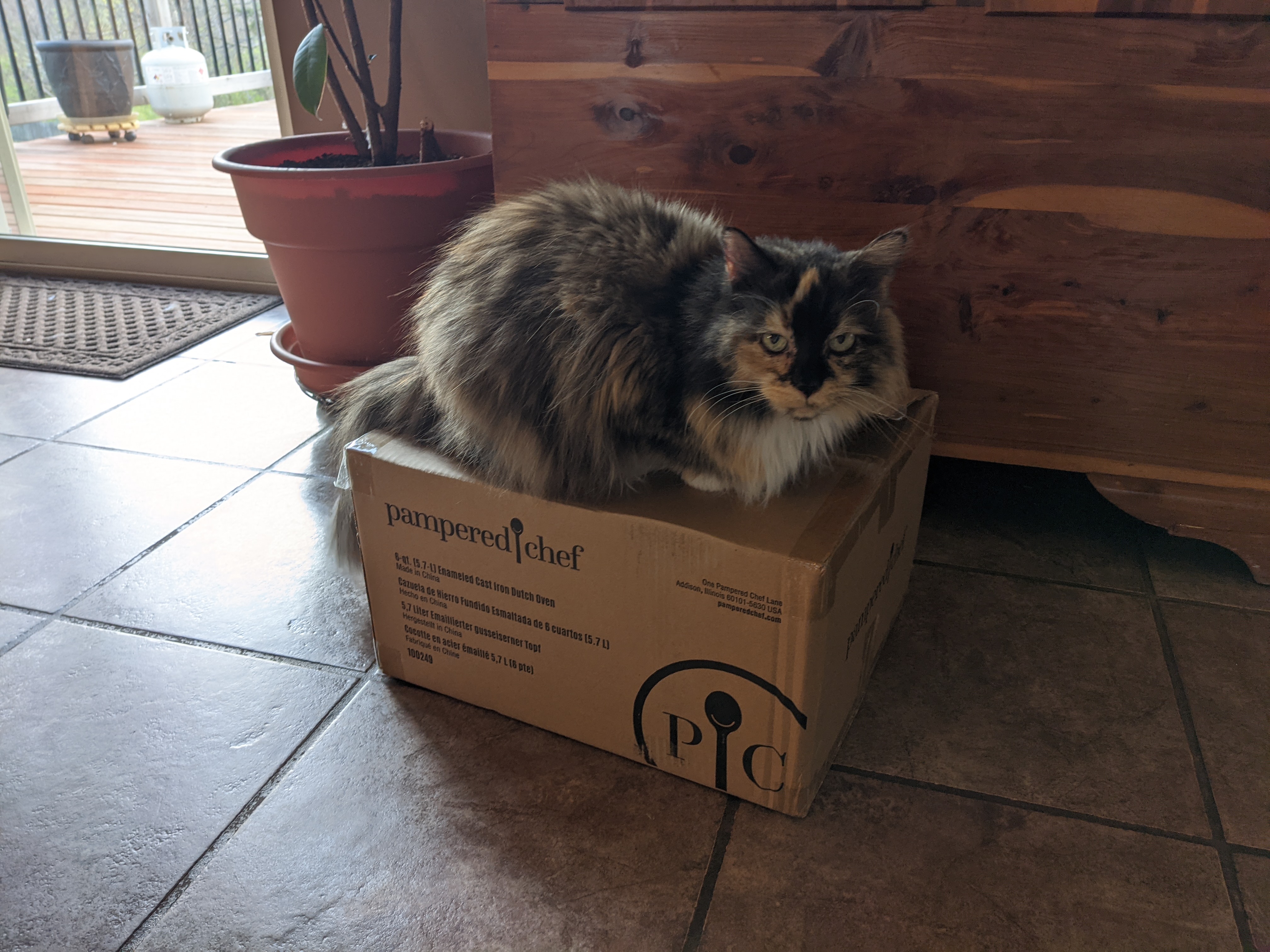 PXL 20210413 233221871