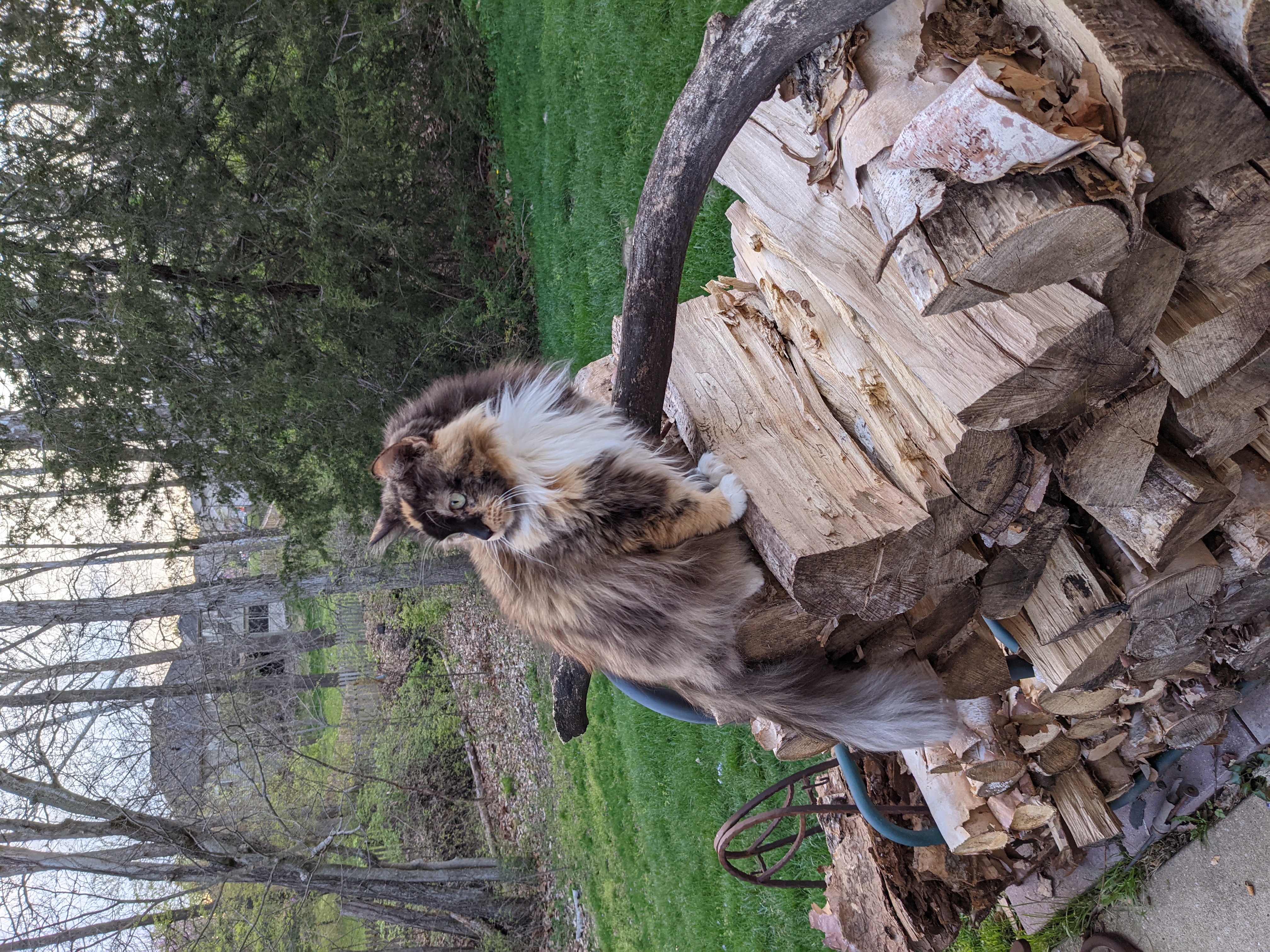 PXL 20210413 234623238