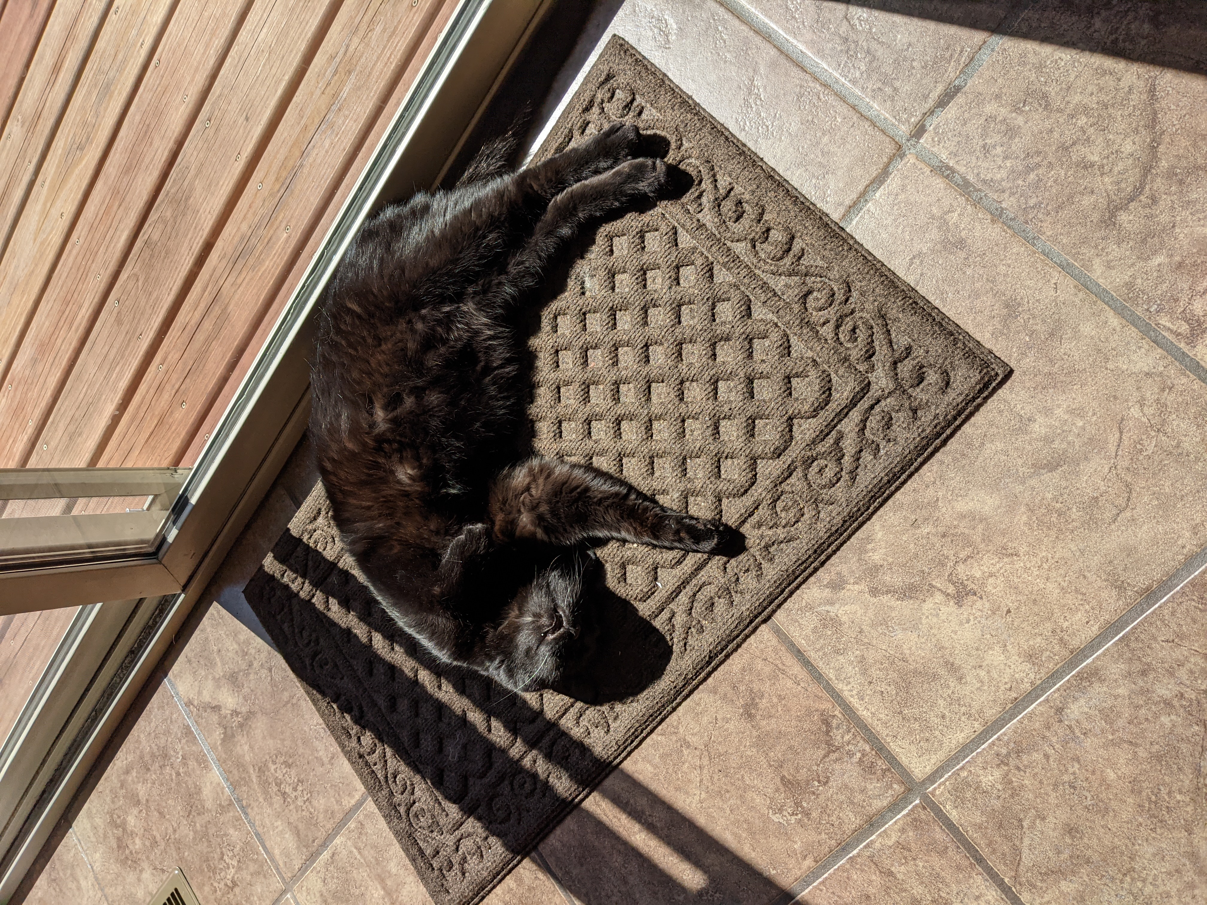 PXL 20210414 201203046