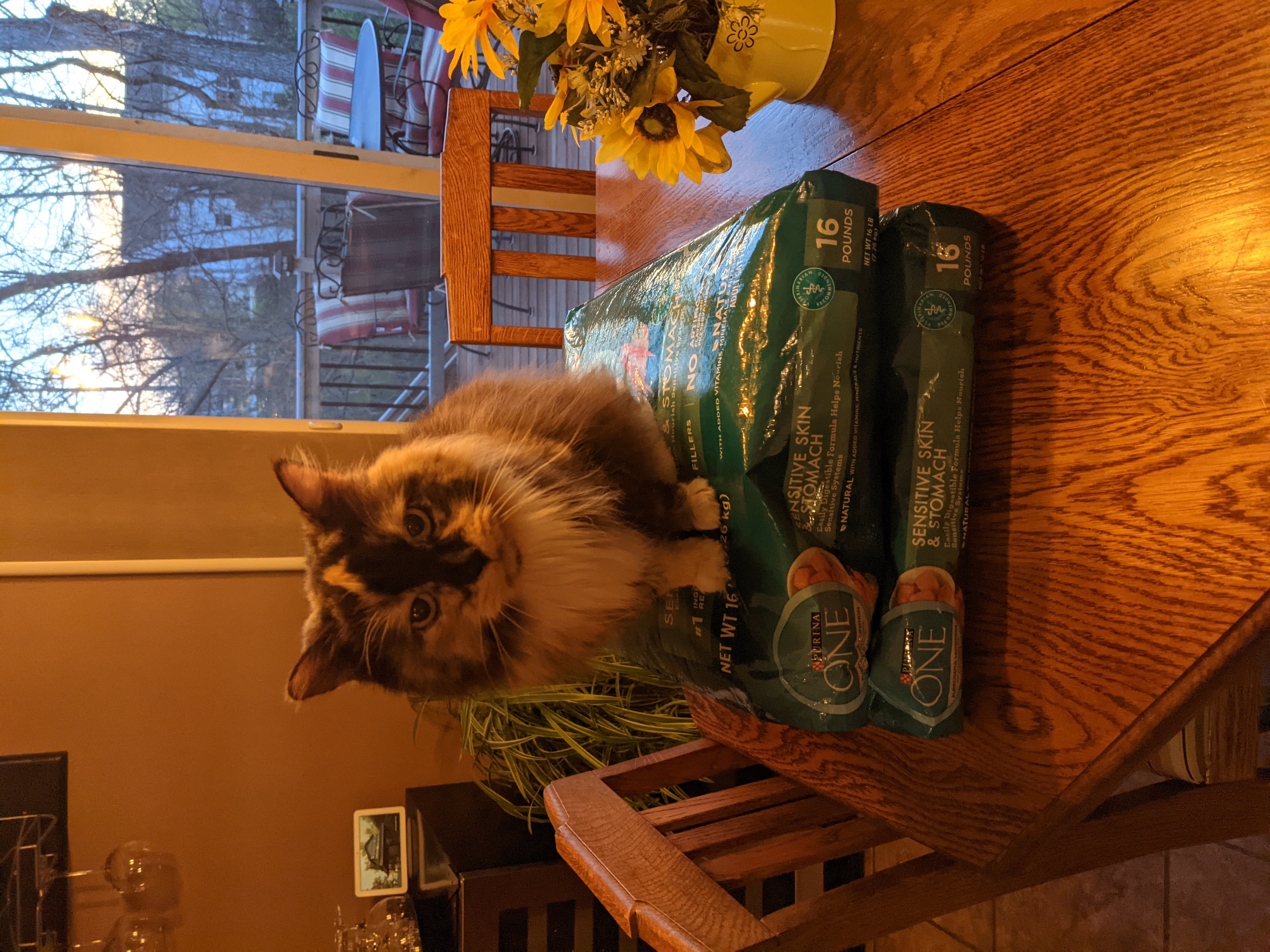 PXL 20210415 004823233