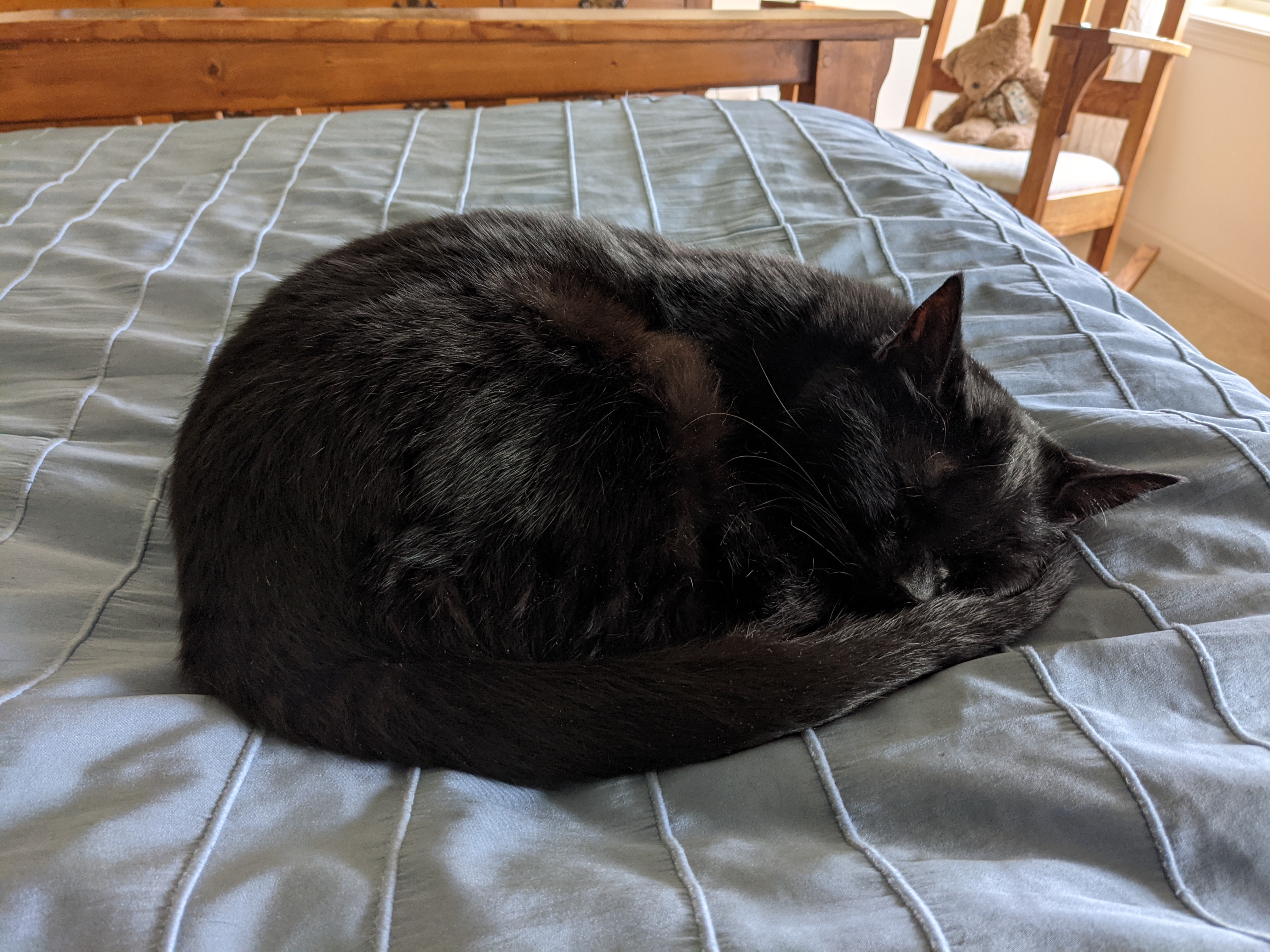 PXL 20210418 171844997