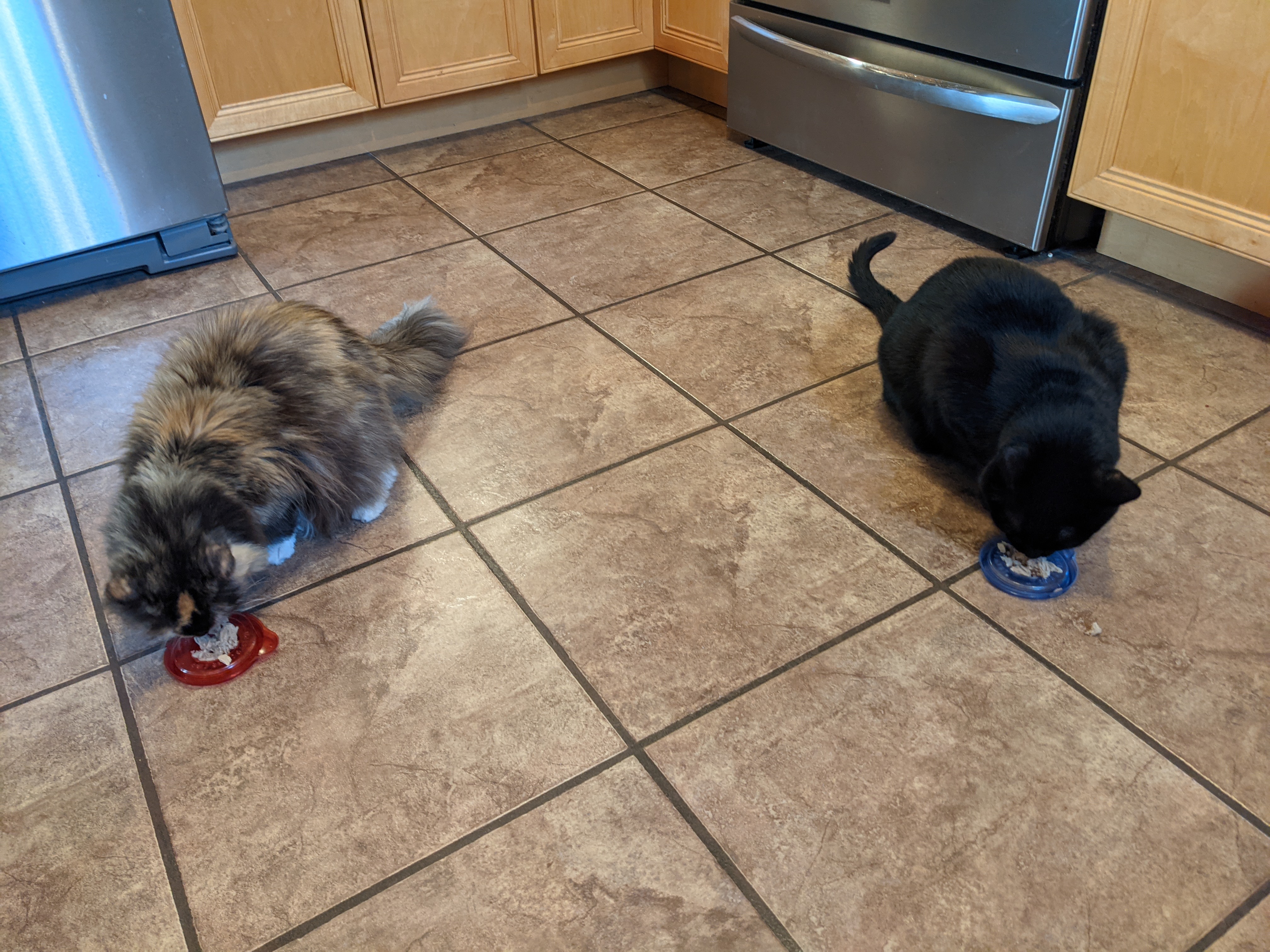 PXL 20210419 233832800