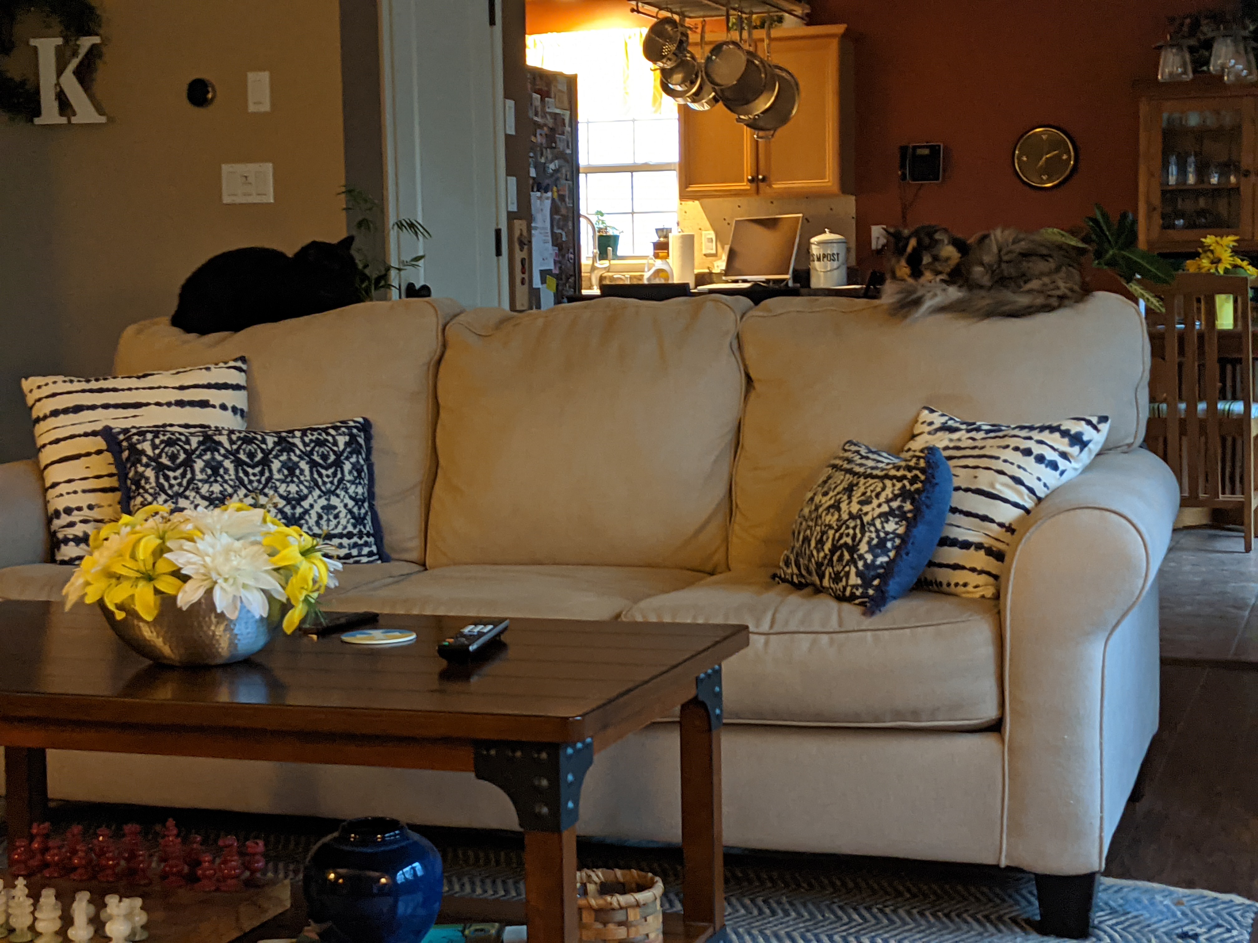 PXL 20210424 121115589